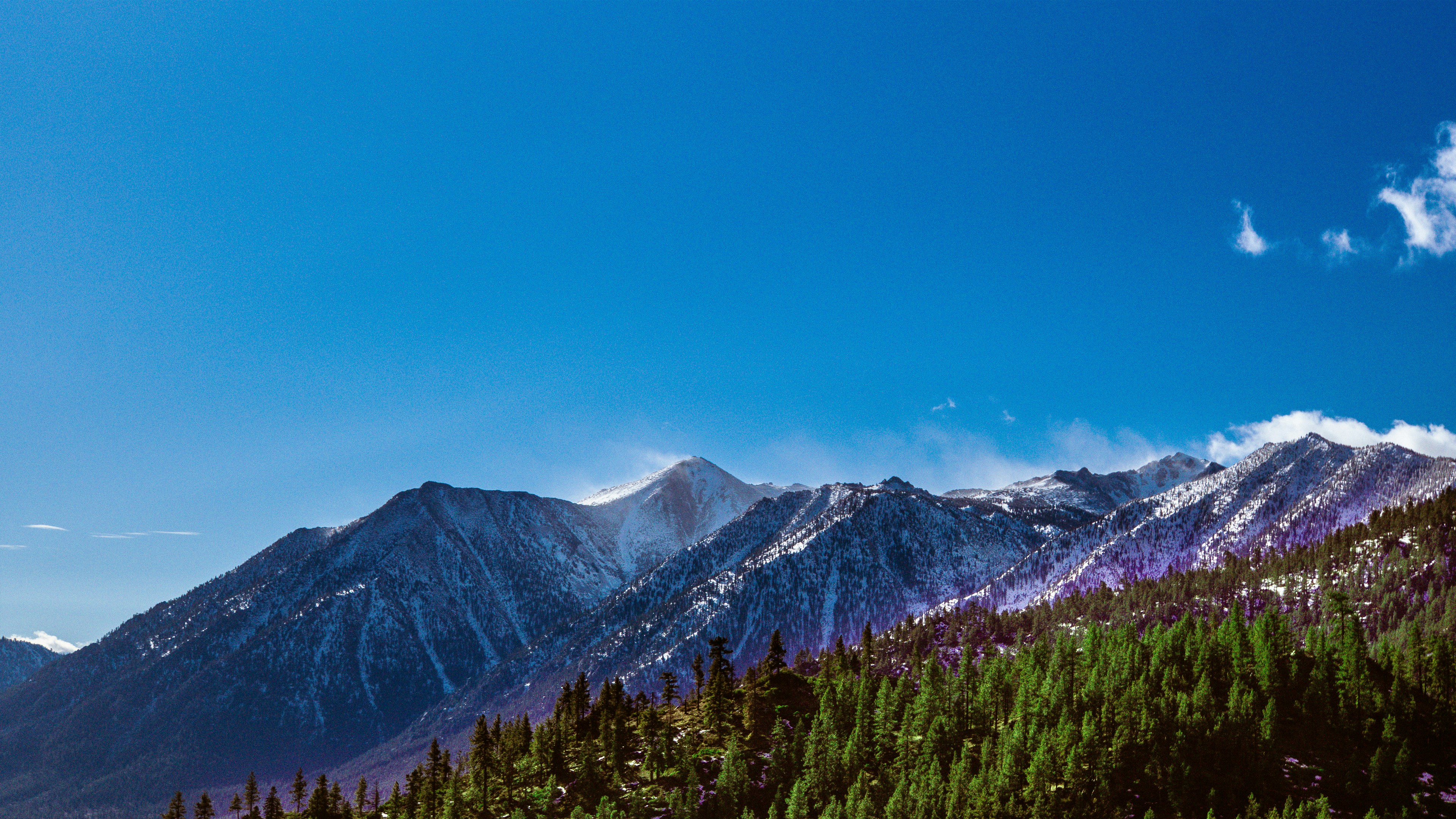 A view of a mountain range with trees in the foreground