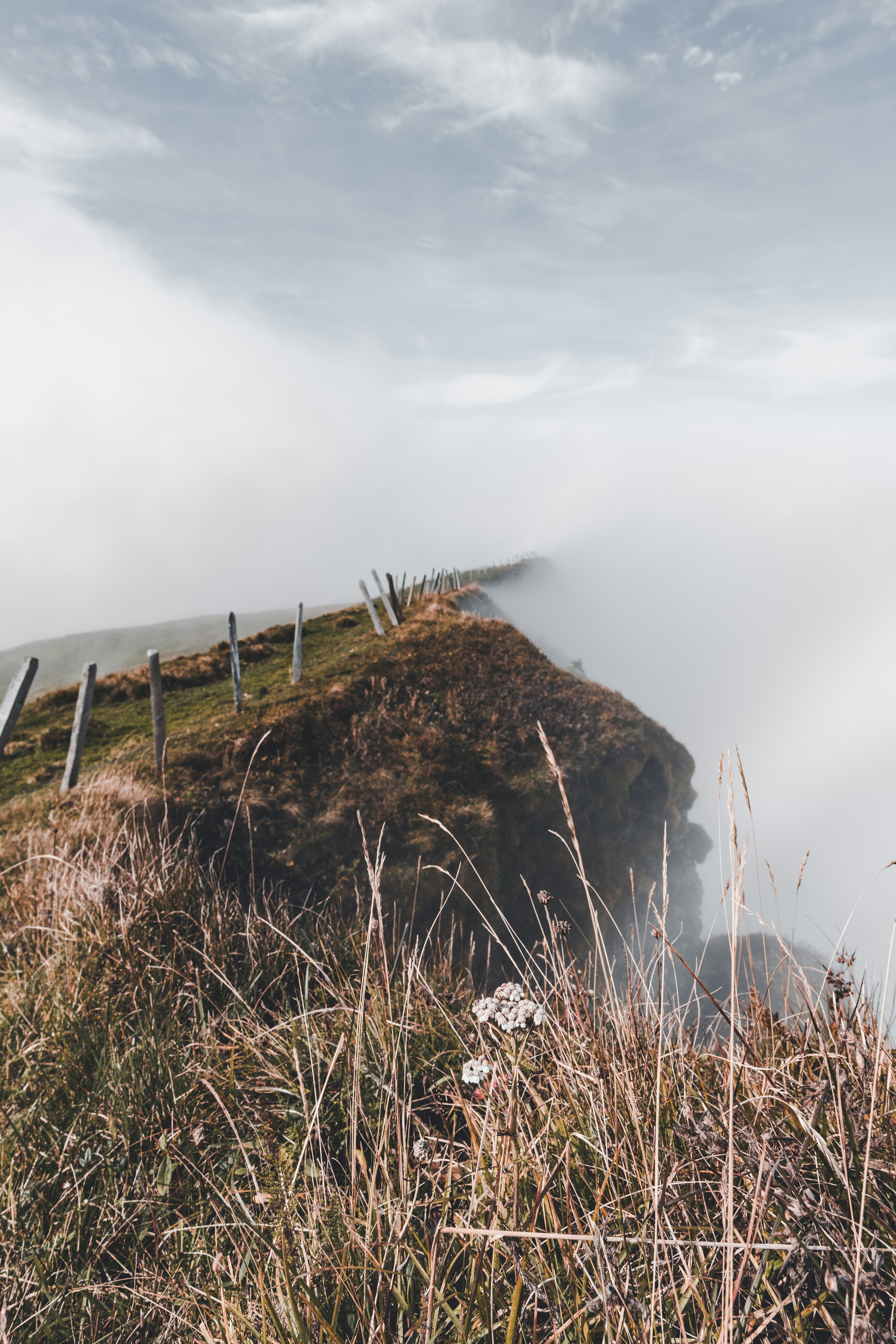 Photo by philipp_dice