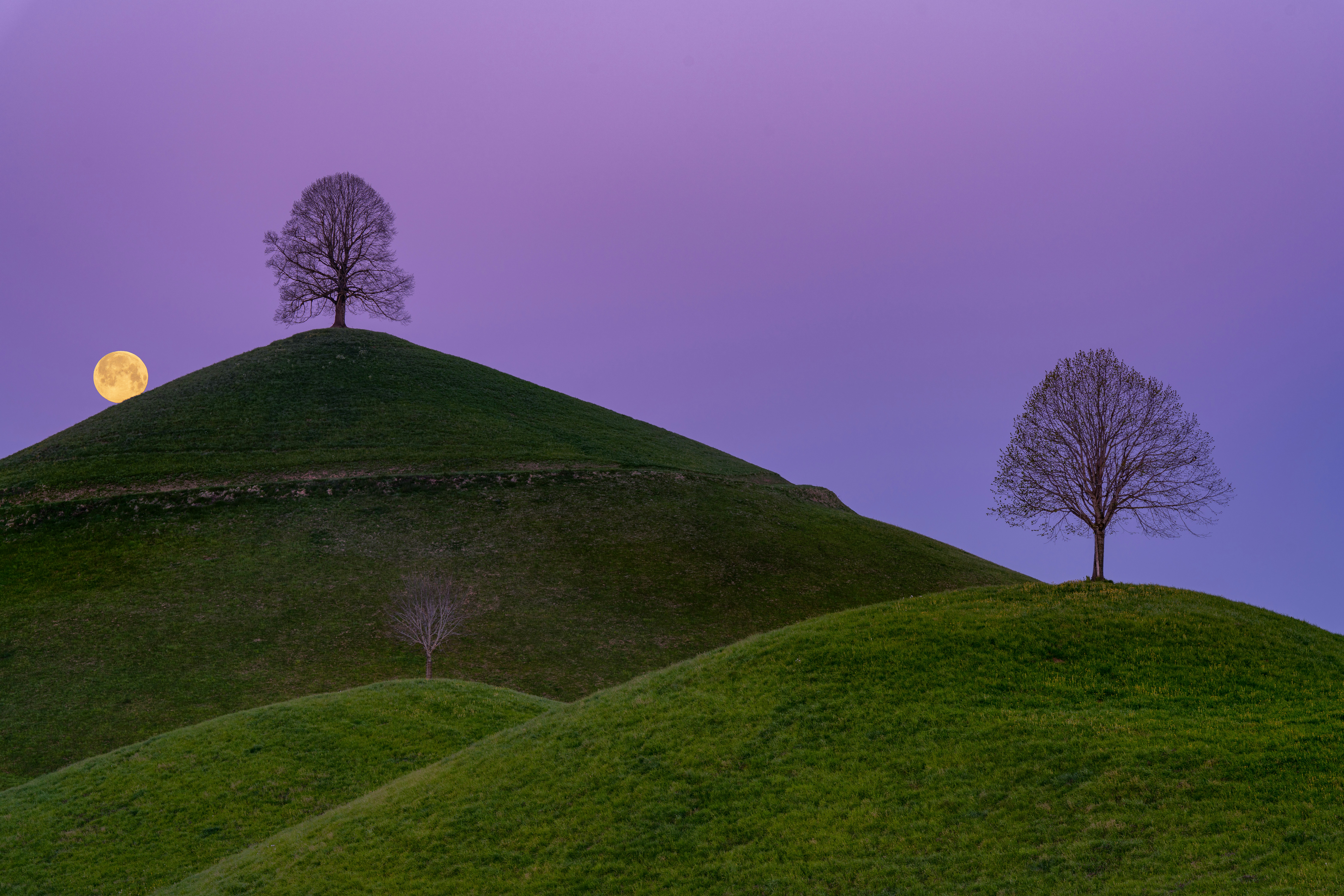 Photo by philipp_dice