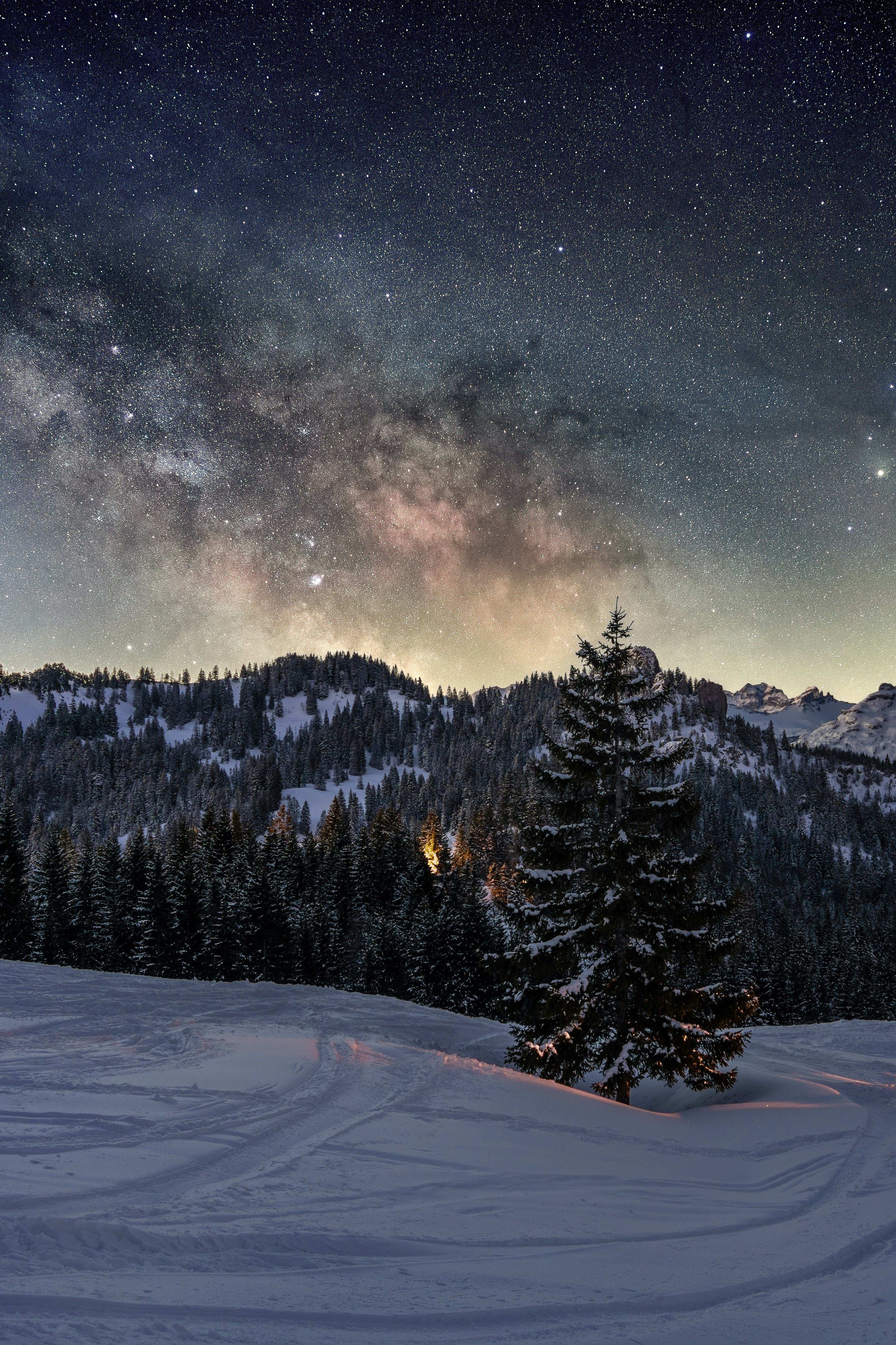 The night sky is filled with stars above a snowy mountain