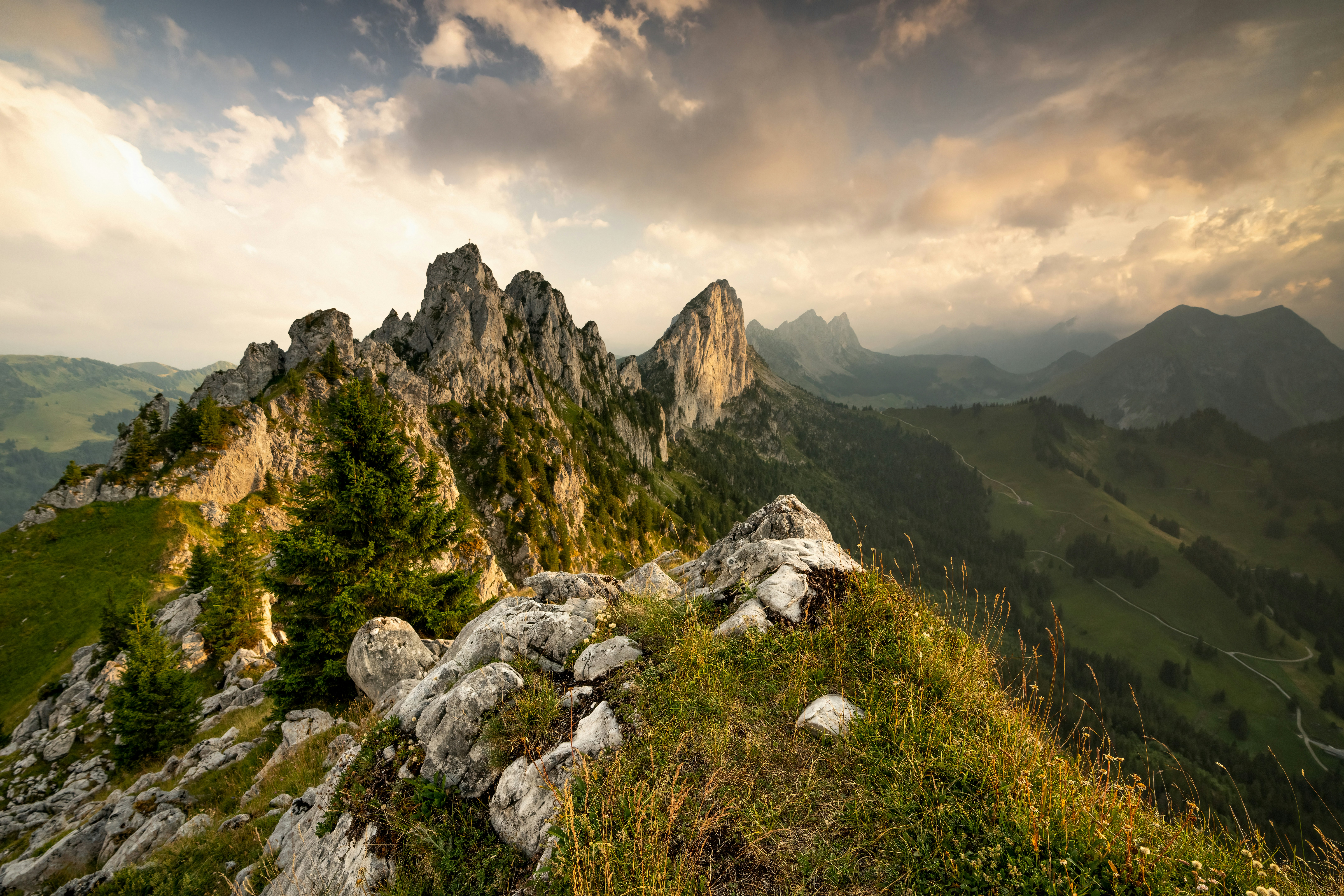 Photo by philipp_dice