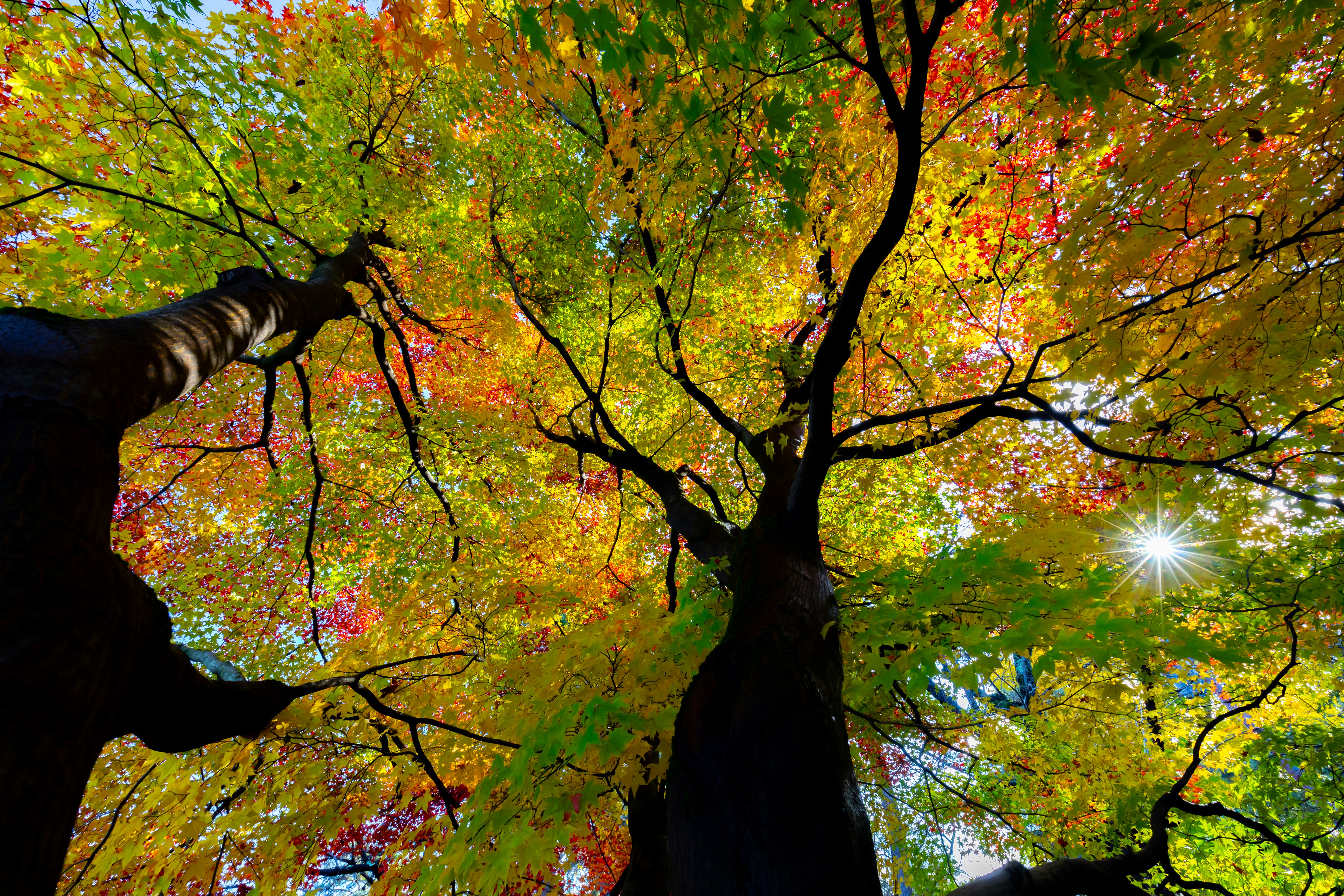 Photo by juntarou555