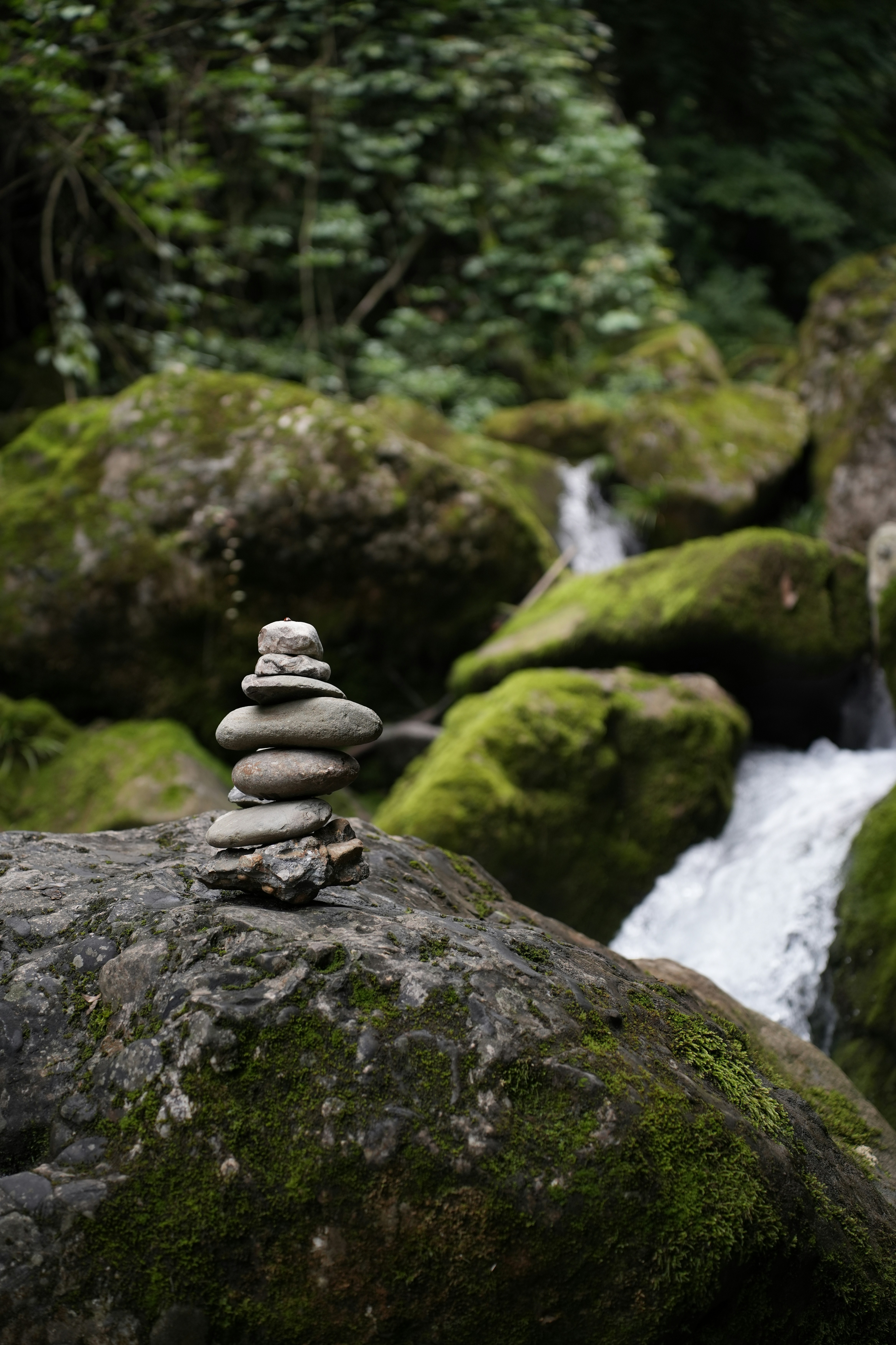 évolution de méditation