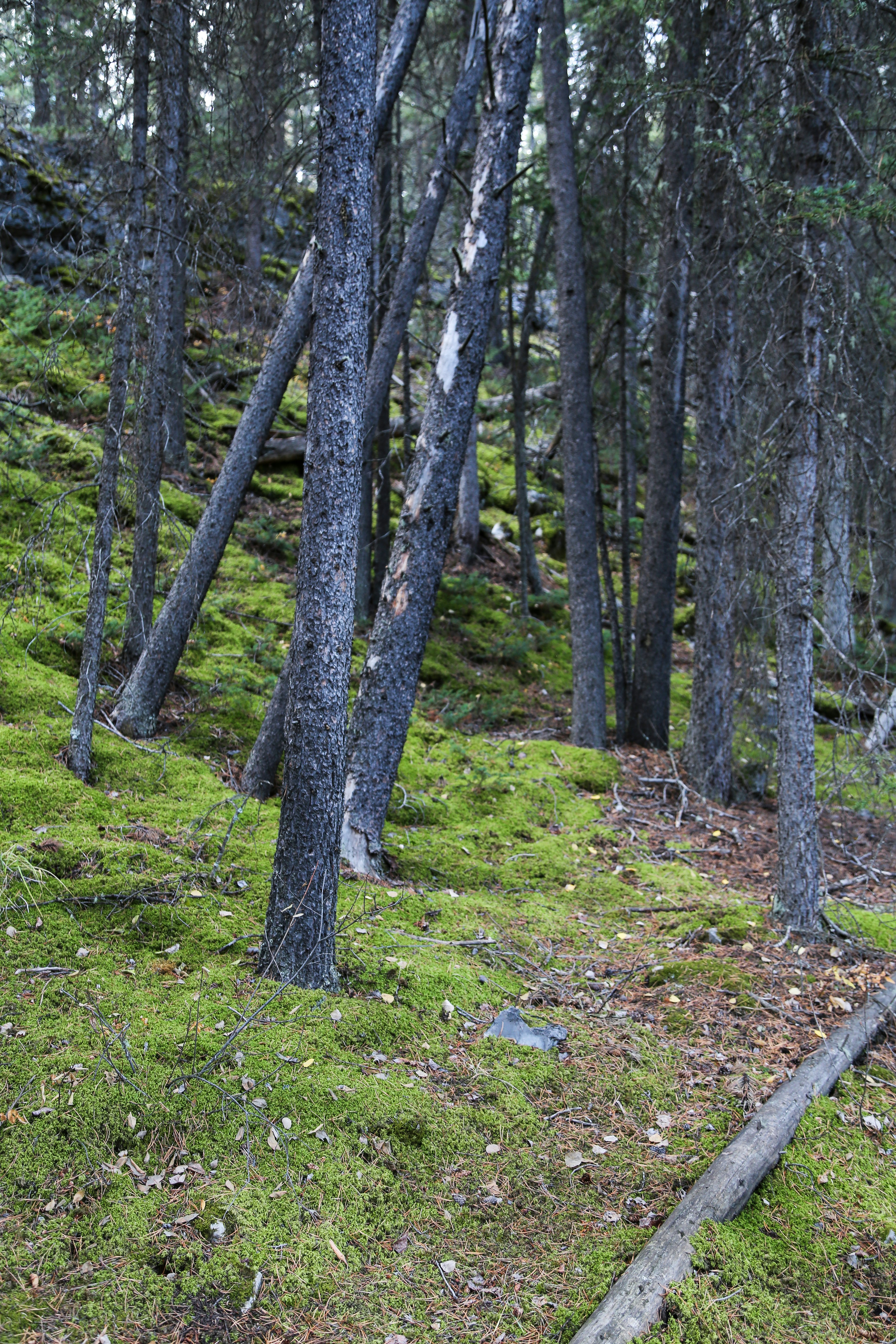 Photo by sofiatheexplorer