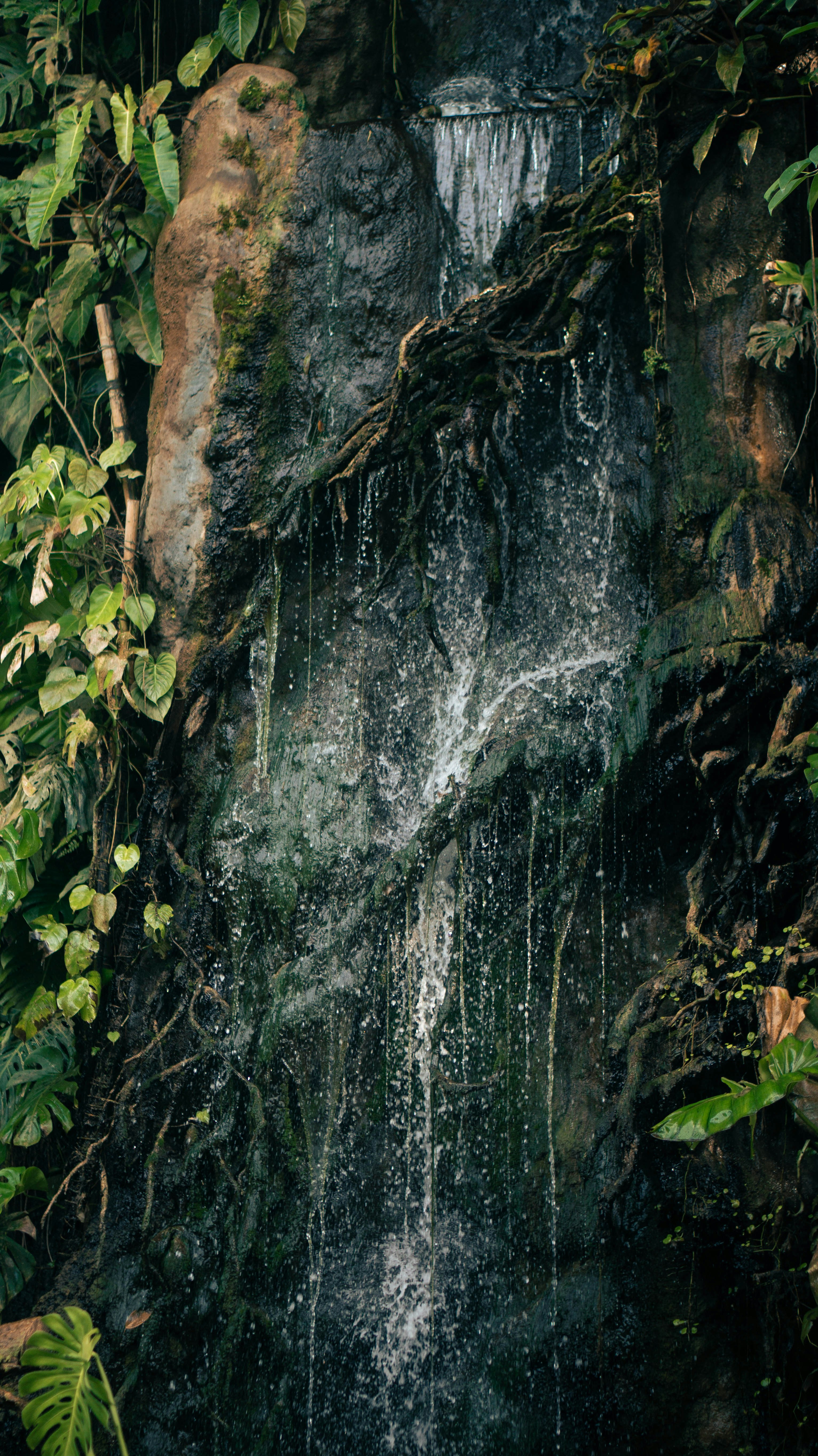 A waterfall in the middle of a jungle