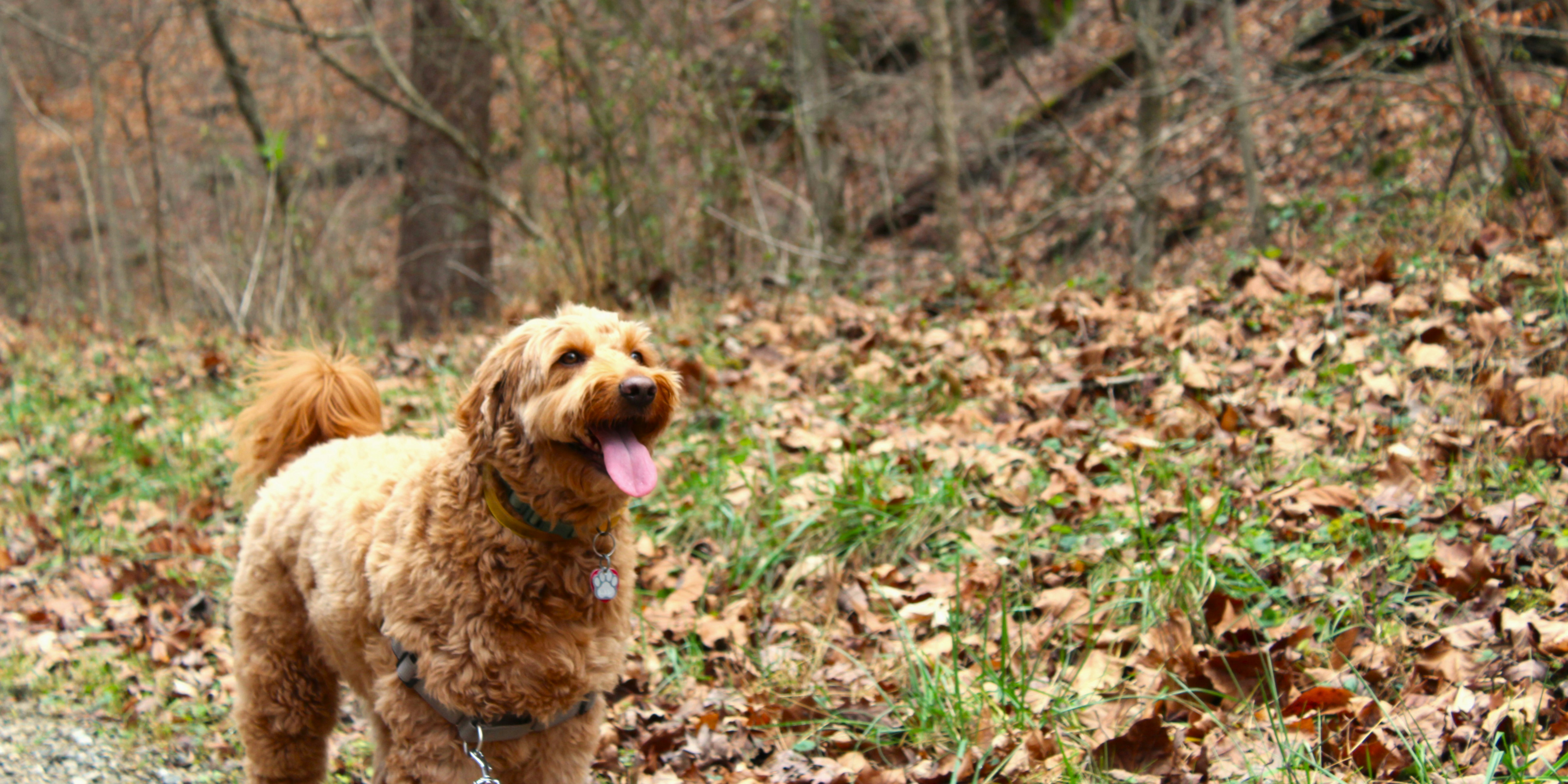 Photo by tylerohiobutler