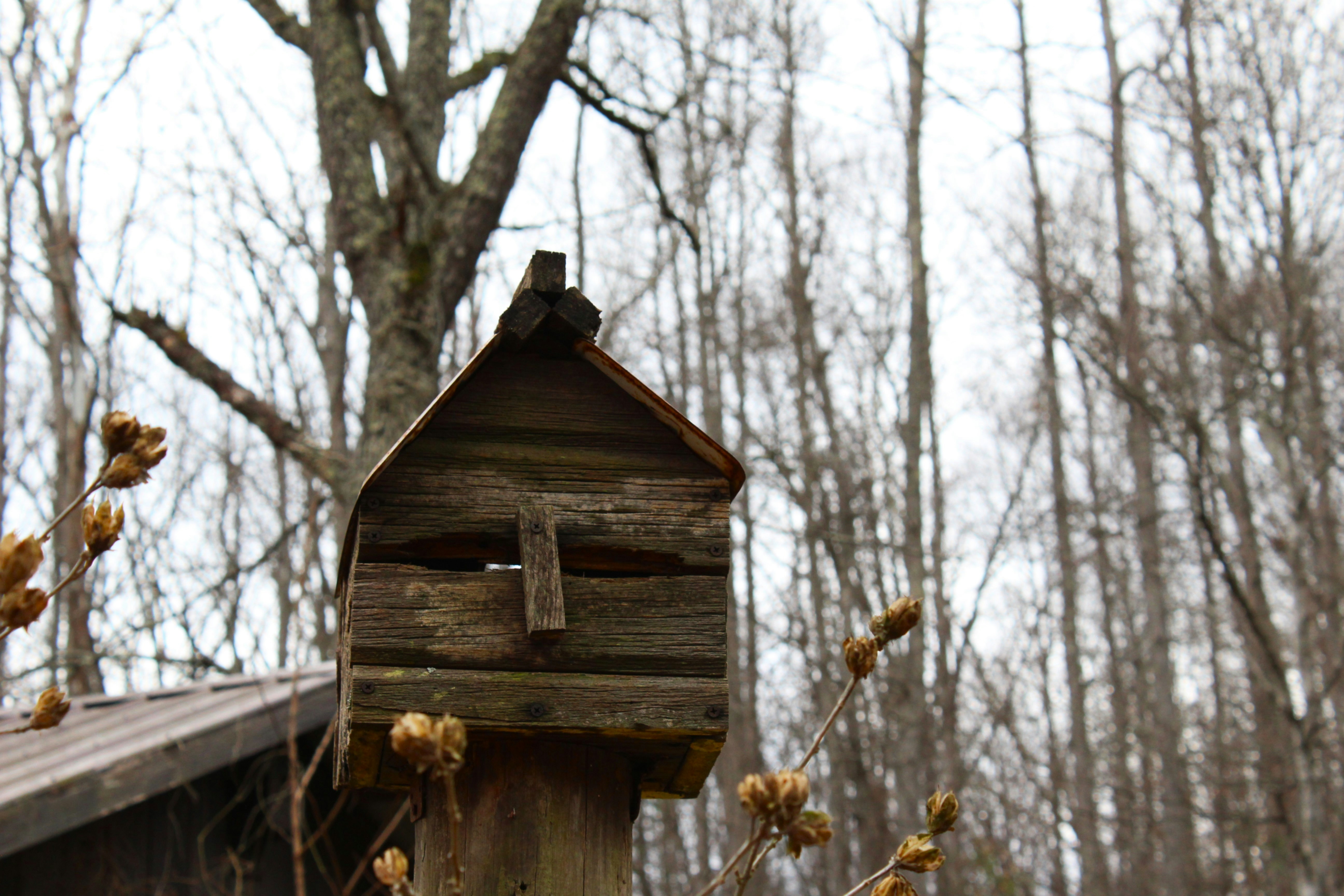 Ein Vogelhäuschen, das auf einem Holzpfosten sitzt