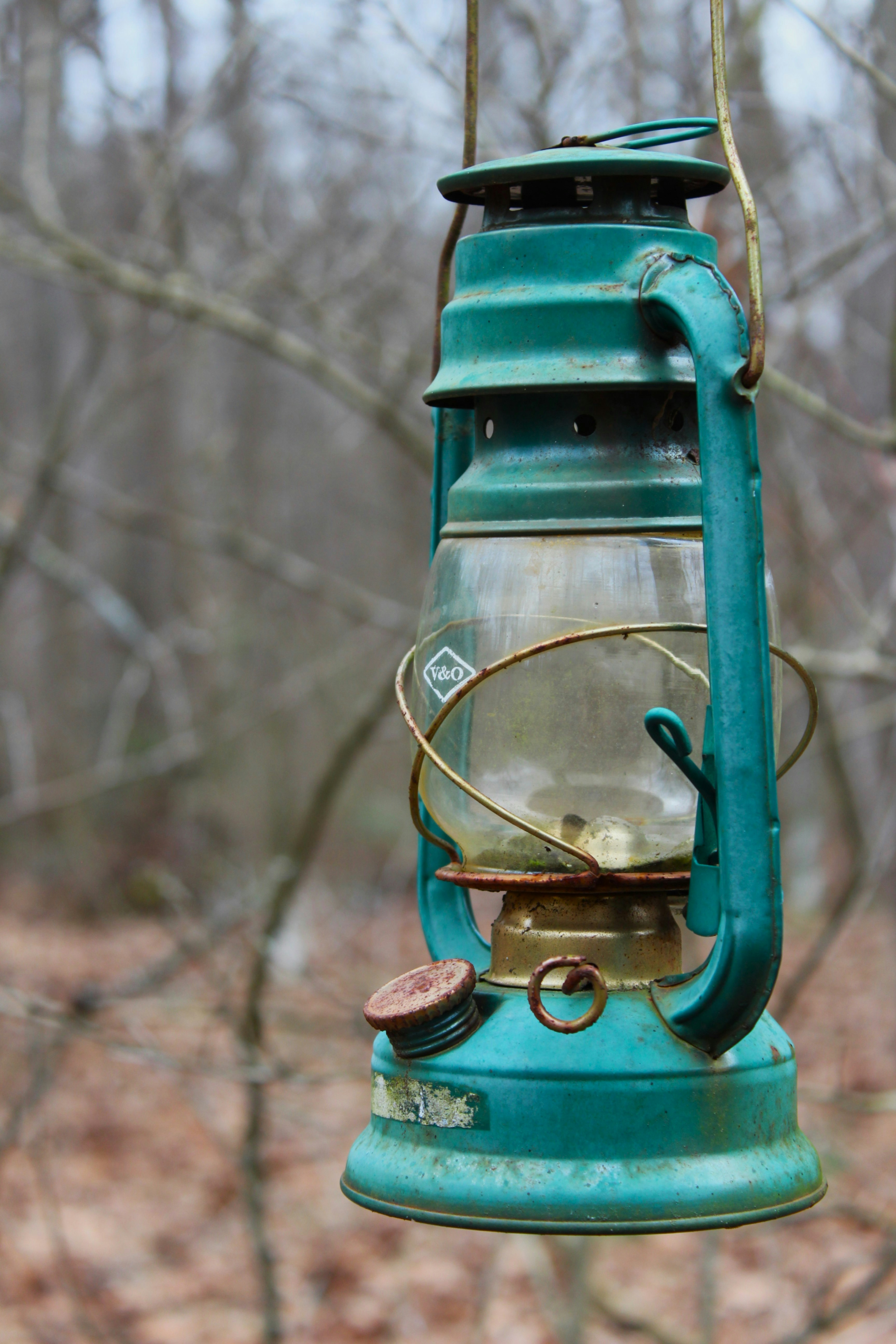 Ein Vogelhäuschen, das an einem Baum im Wald hängt