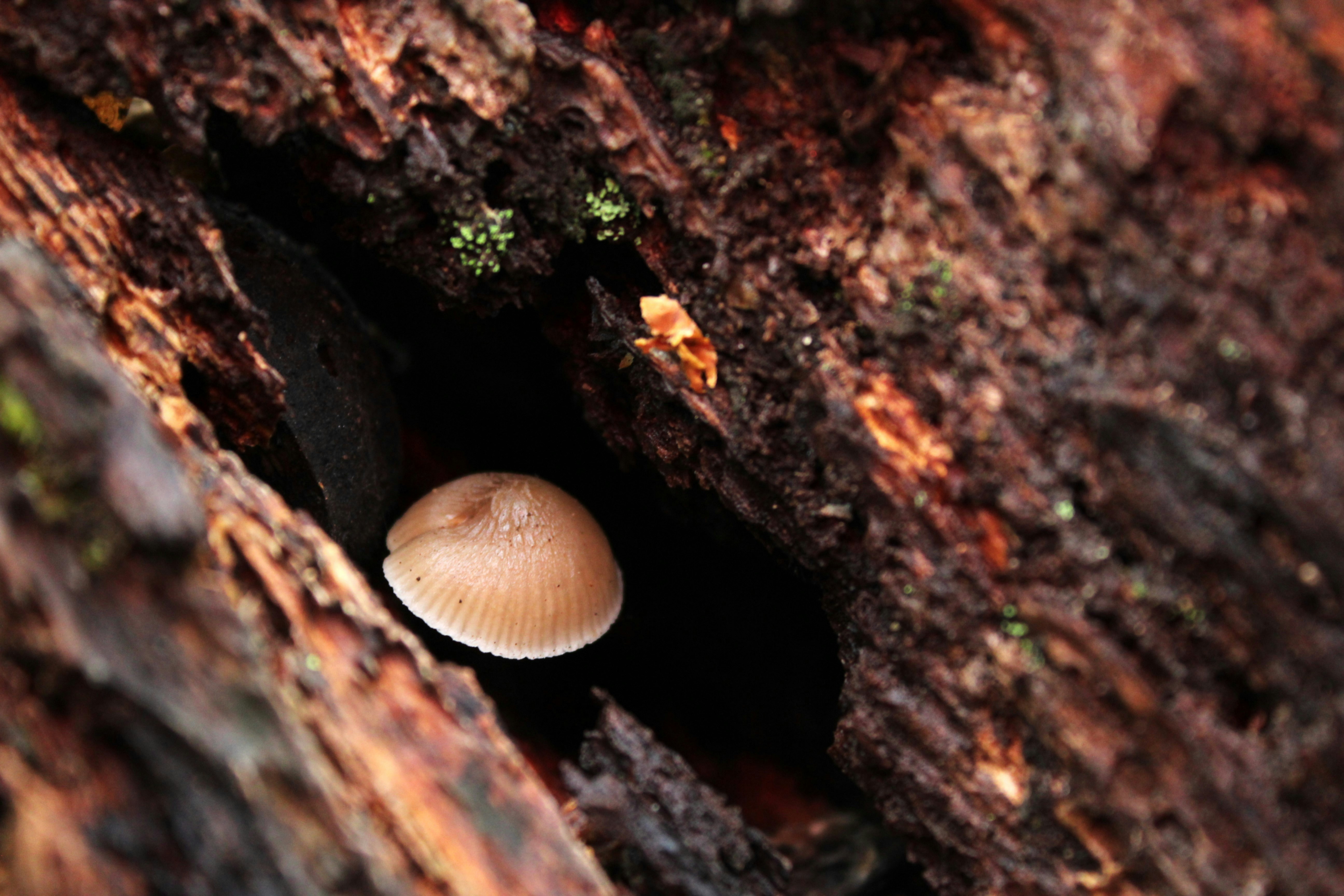 Photo by tylerohiobutler