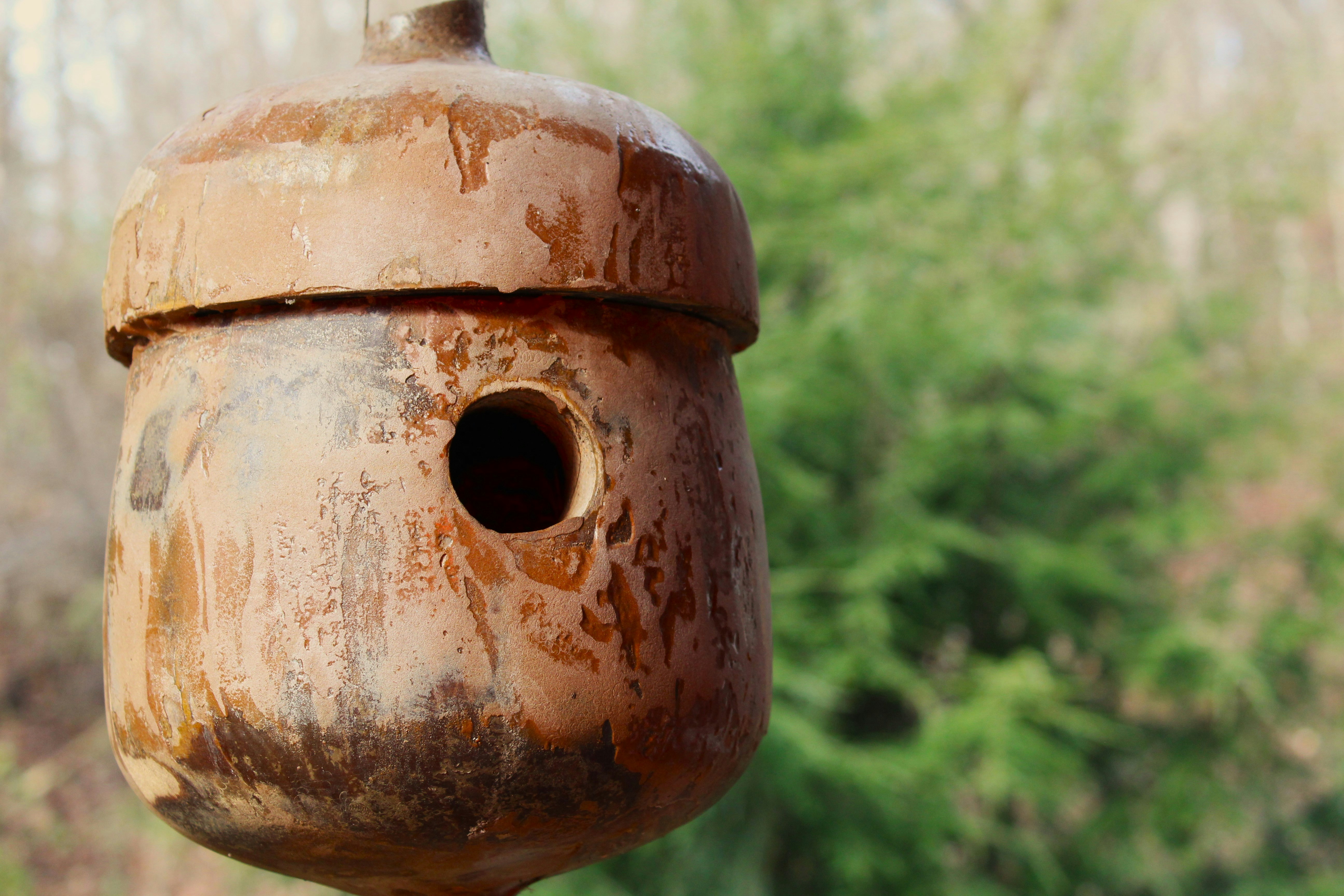 Photo by tylerohiobutler