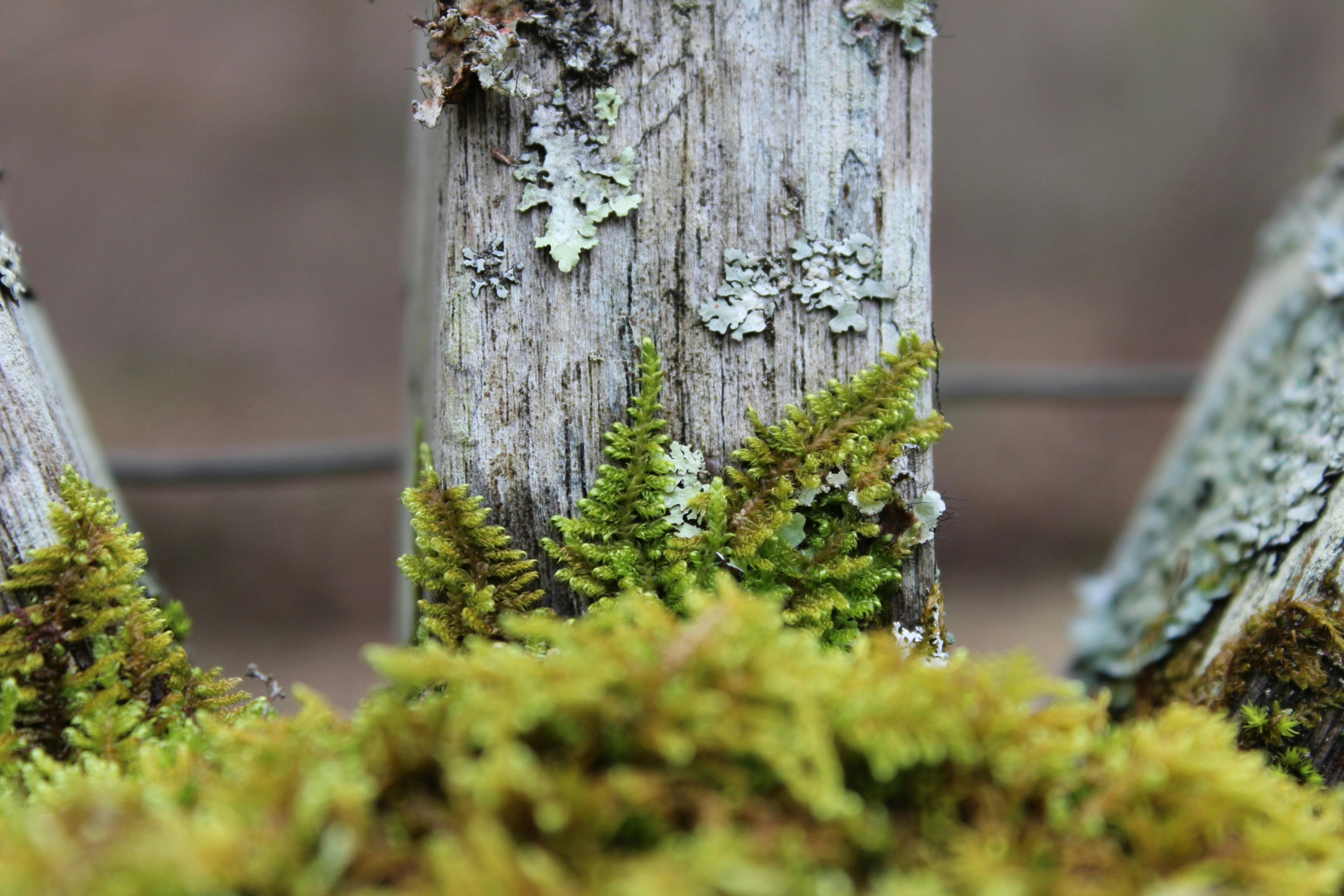 Photo by tylerohiobutler