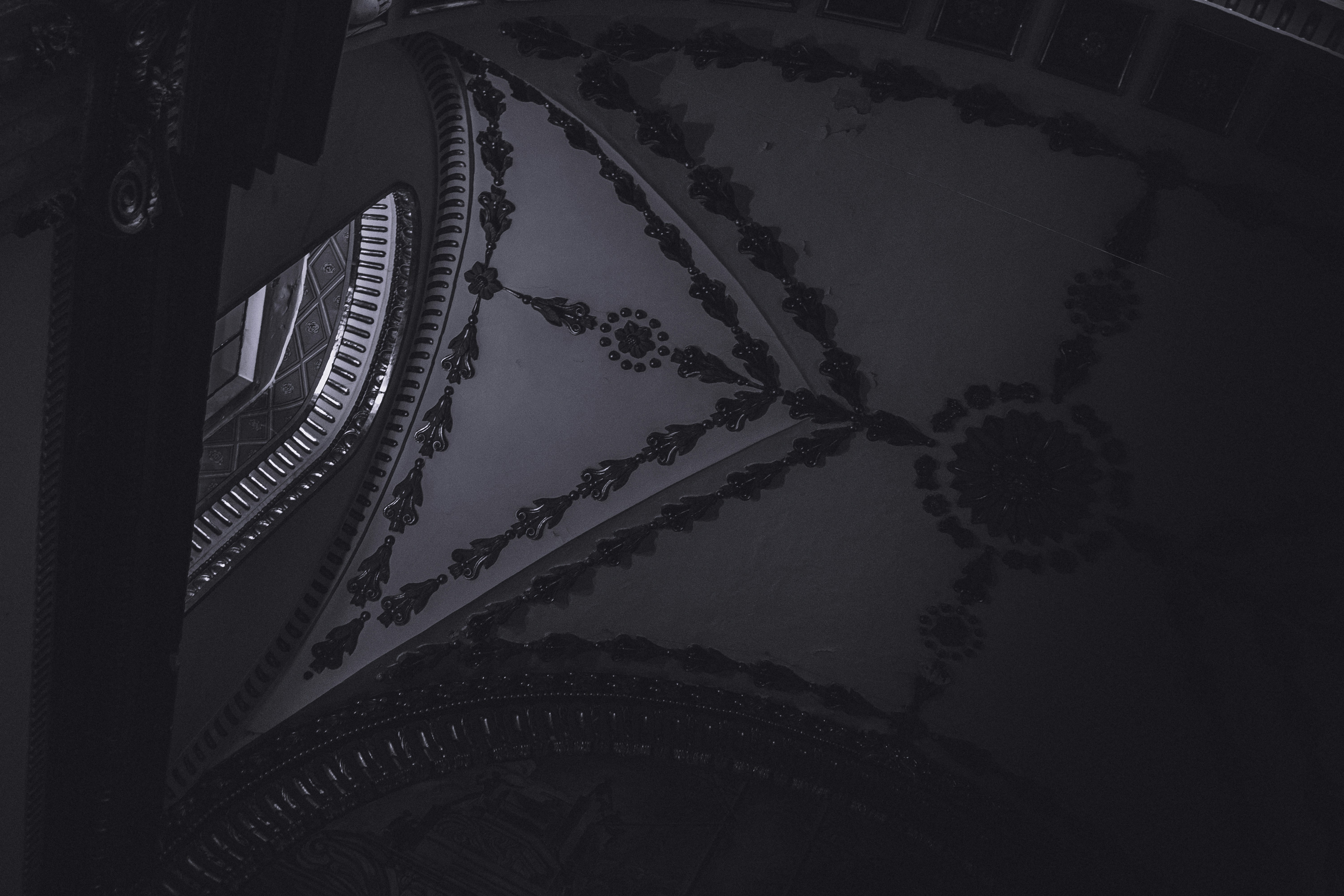 Photo by daniela_wolfvok