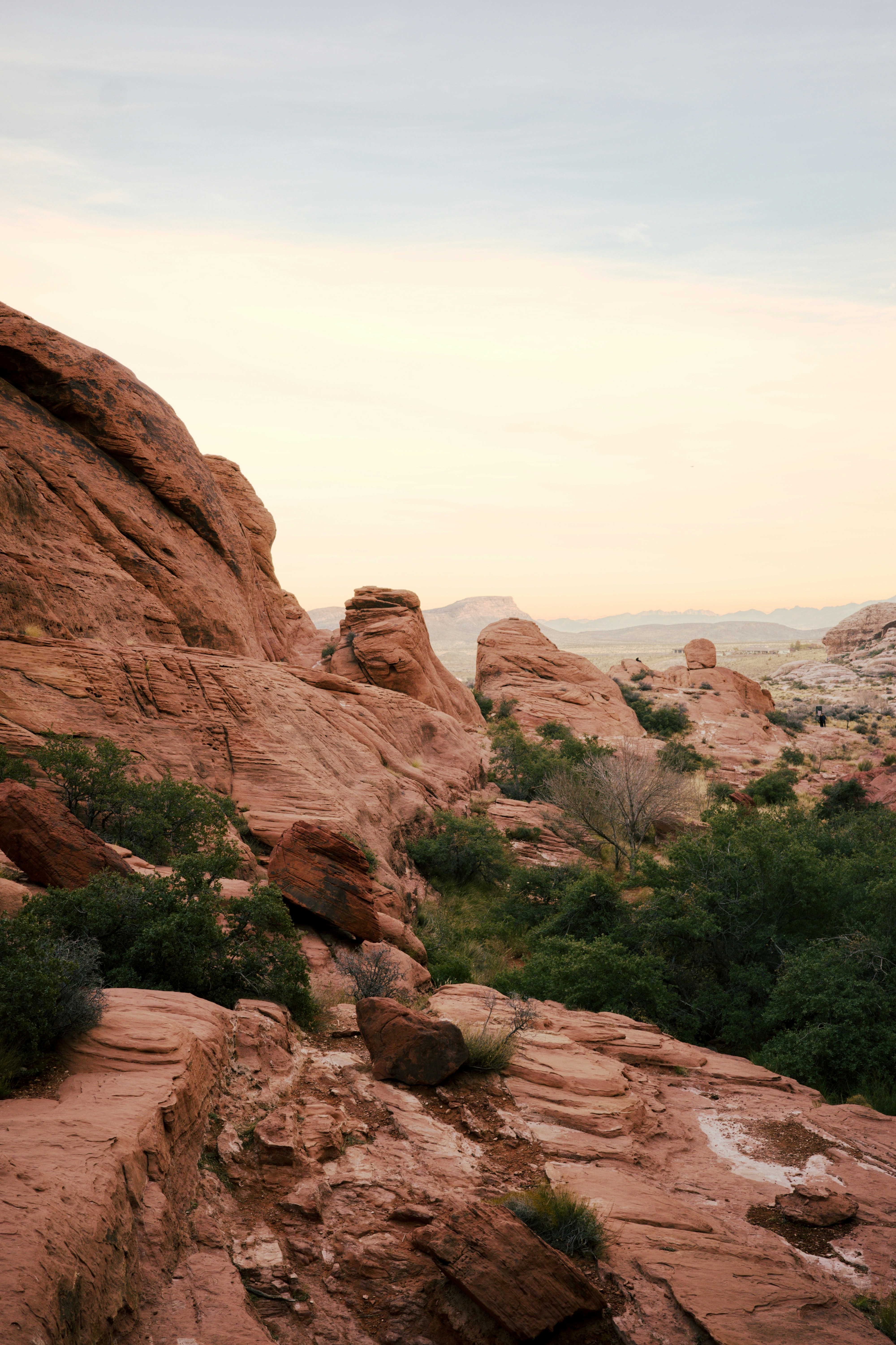 Photo by cam_ballard