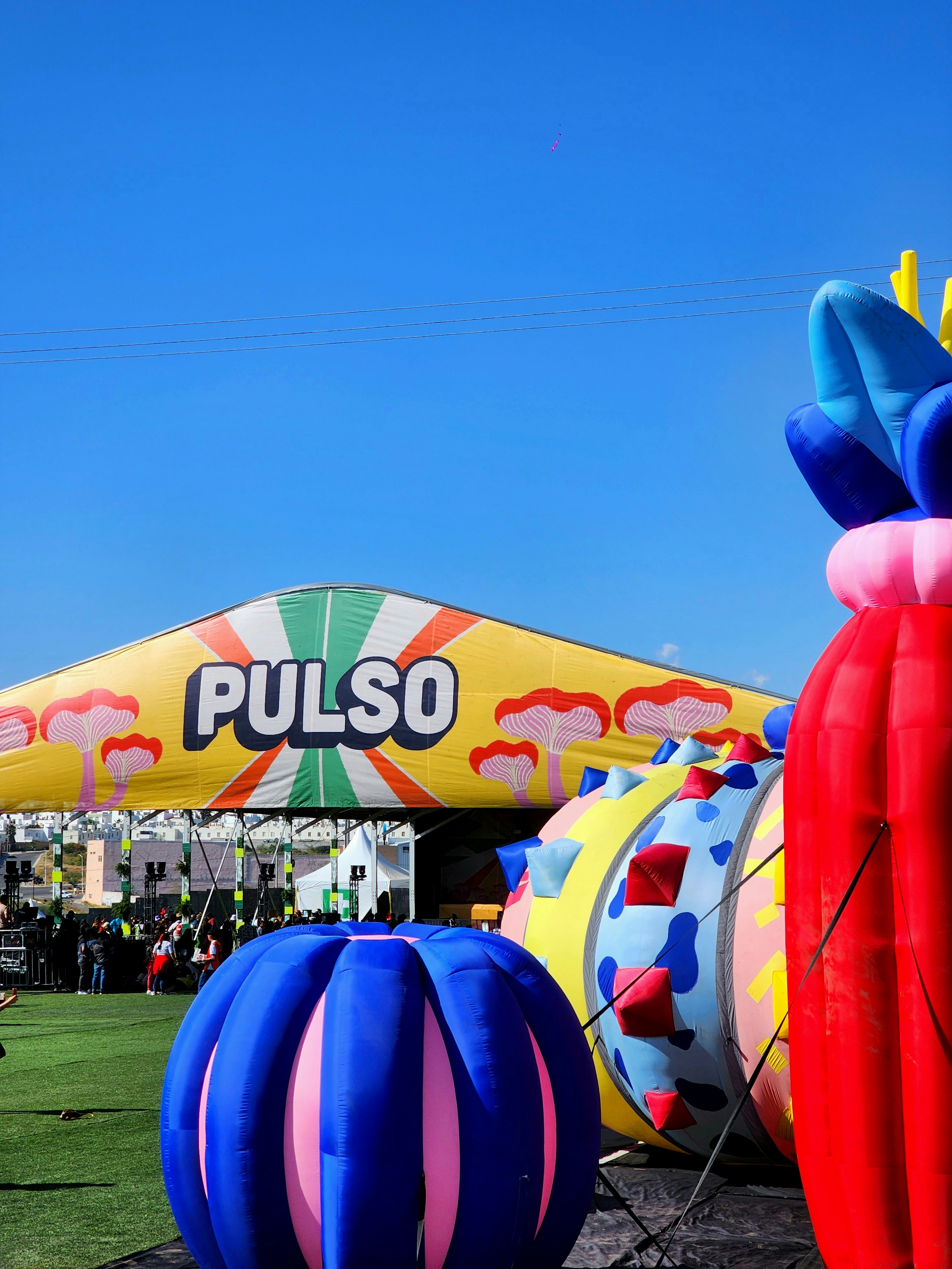 Un tas de ballons qui sont dans l’herbe