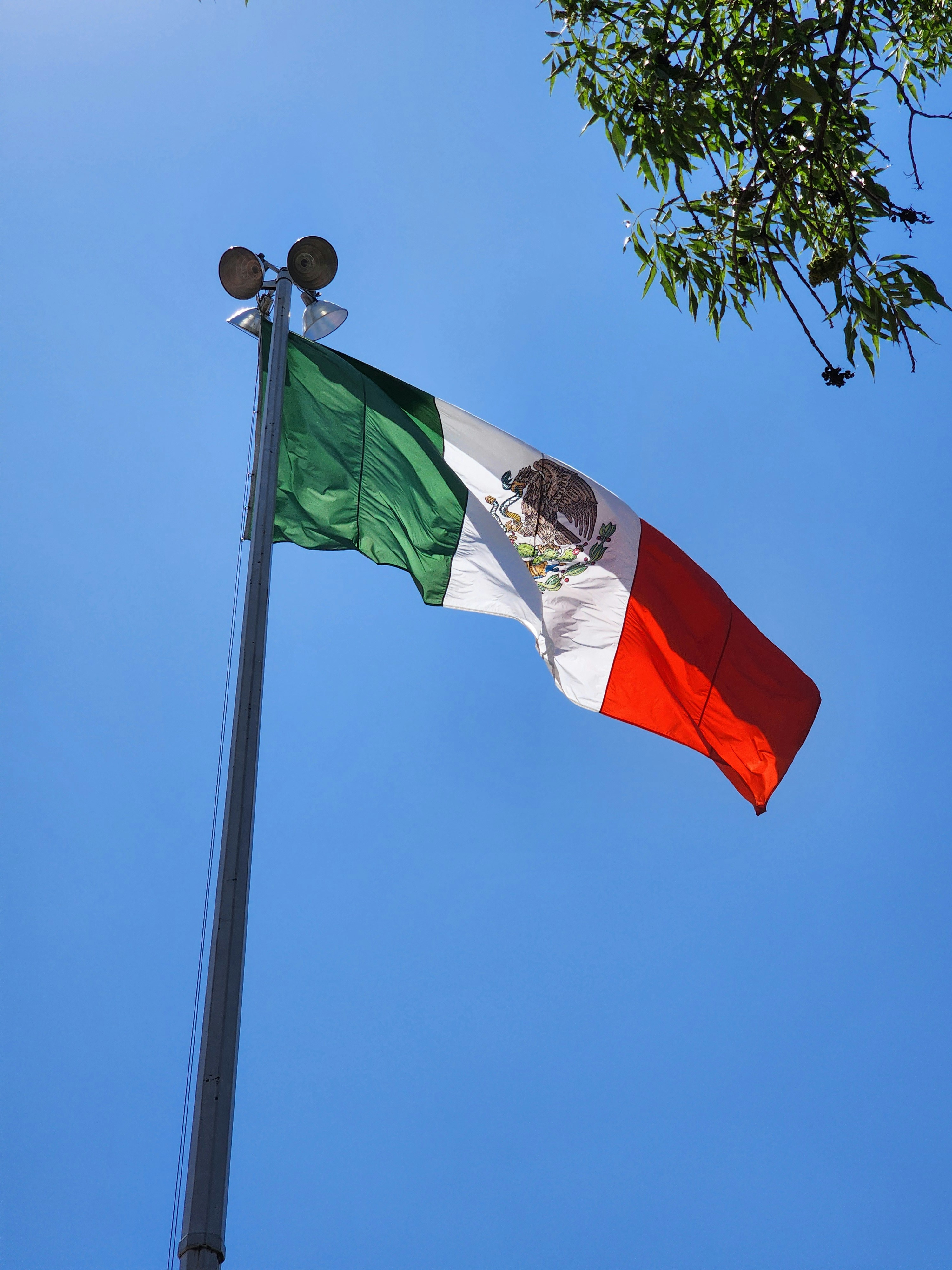The mexican flag is flying high in the sky