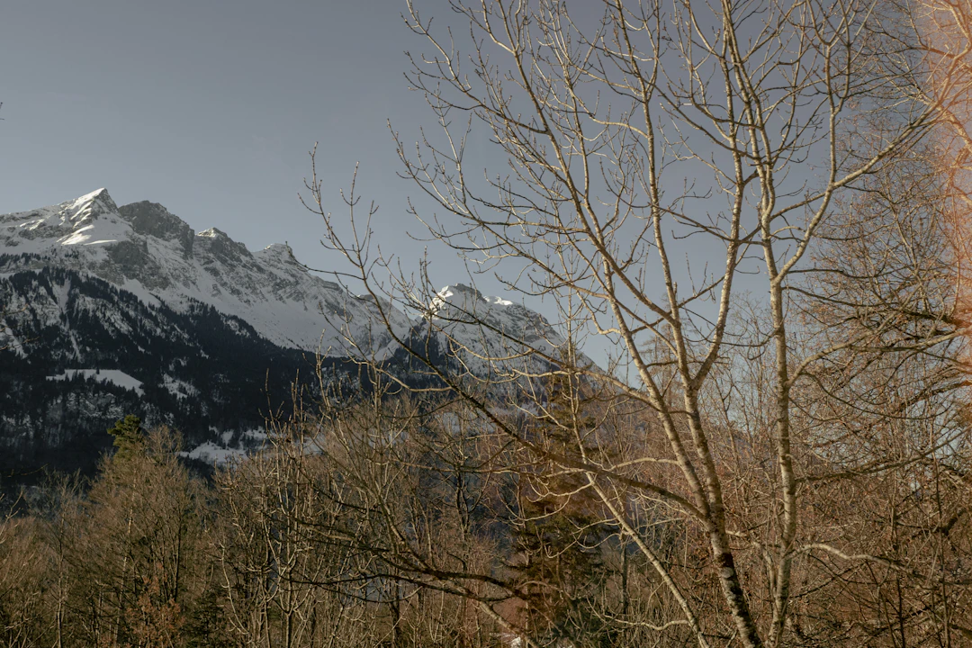 4-Day Switzerland Budget Backpacking Itinerary