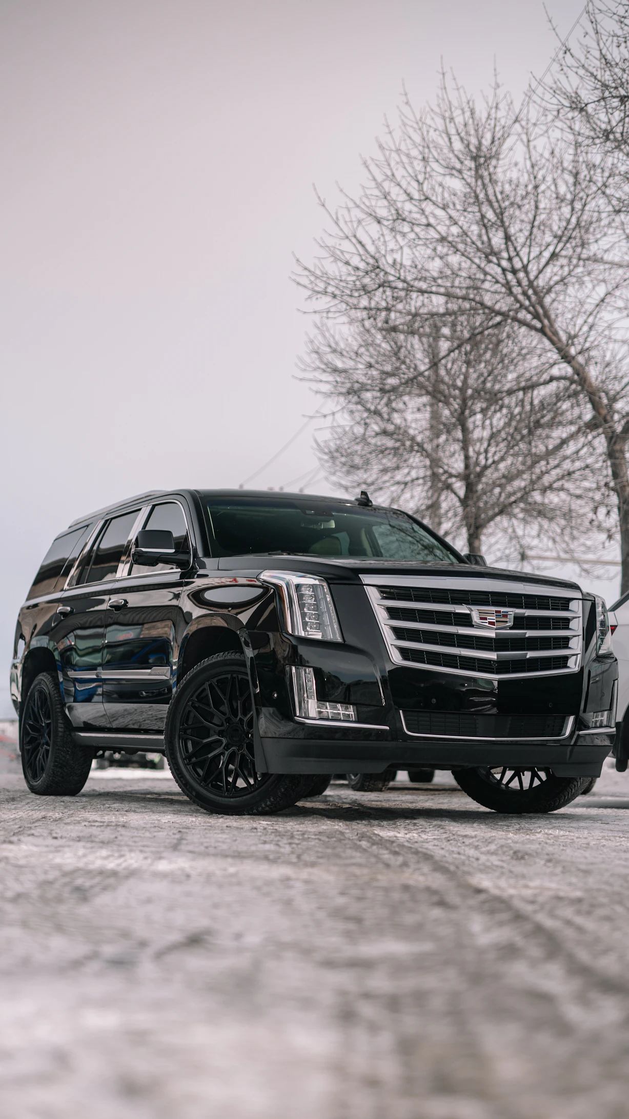 Luxury Fleet