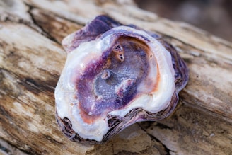 A close up of a piece of food on a tree