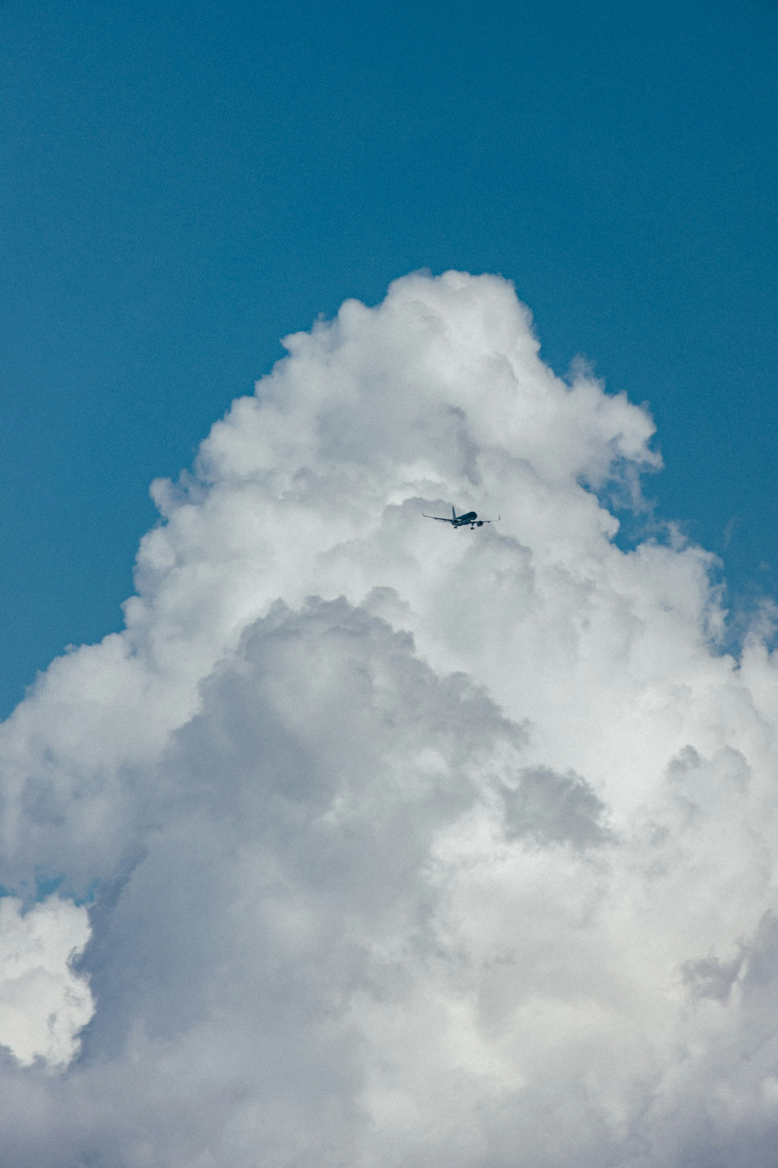 Photo by tsuyoshikozu