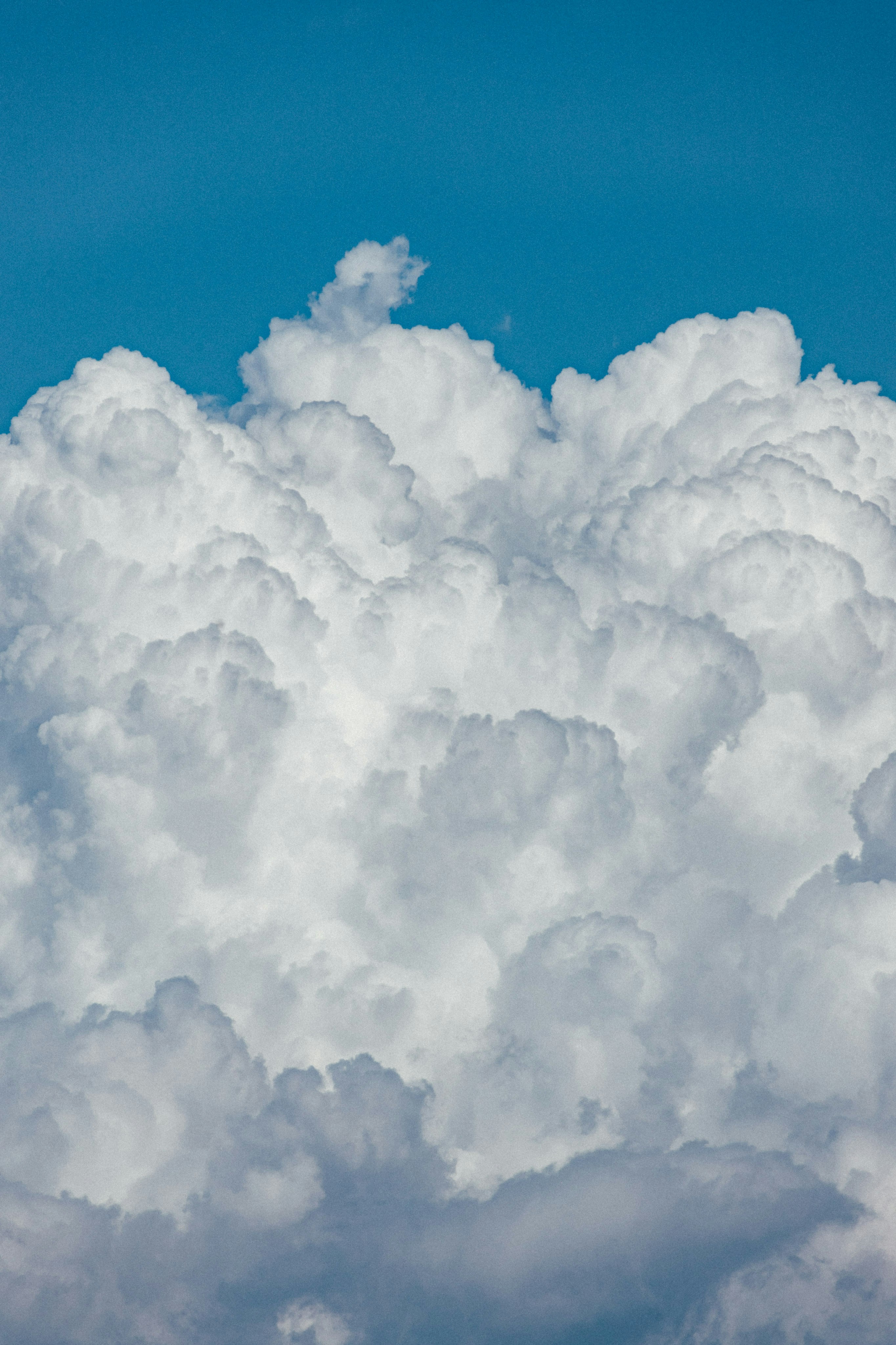 Photo by tsuyoshikozu