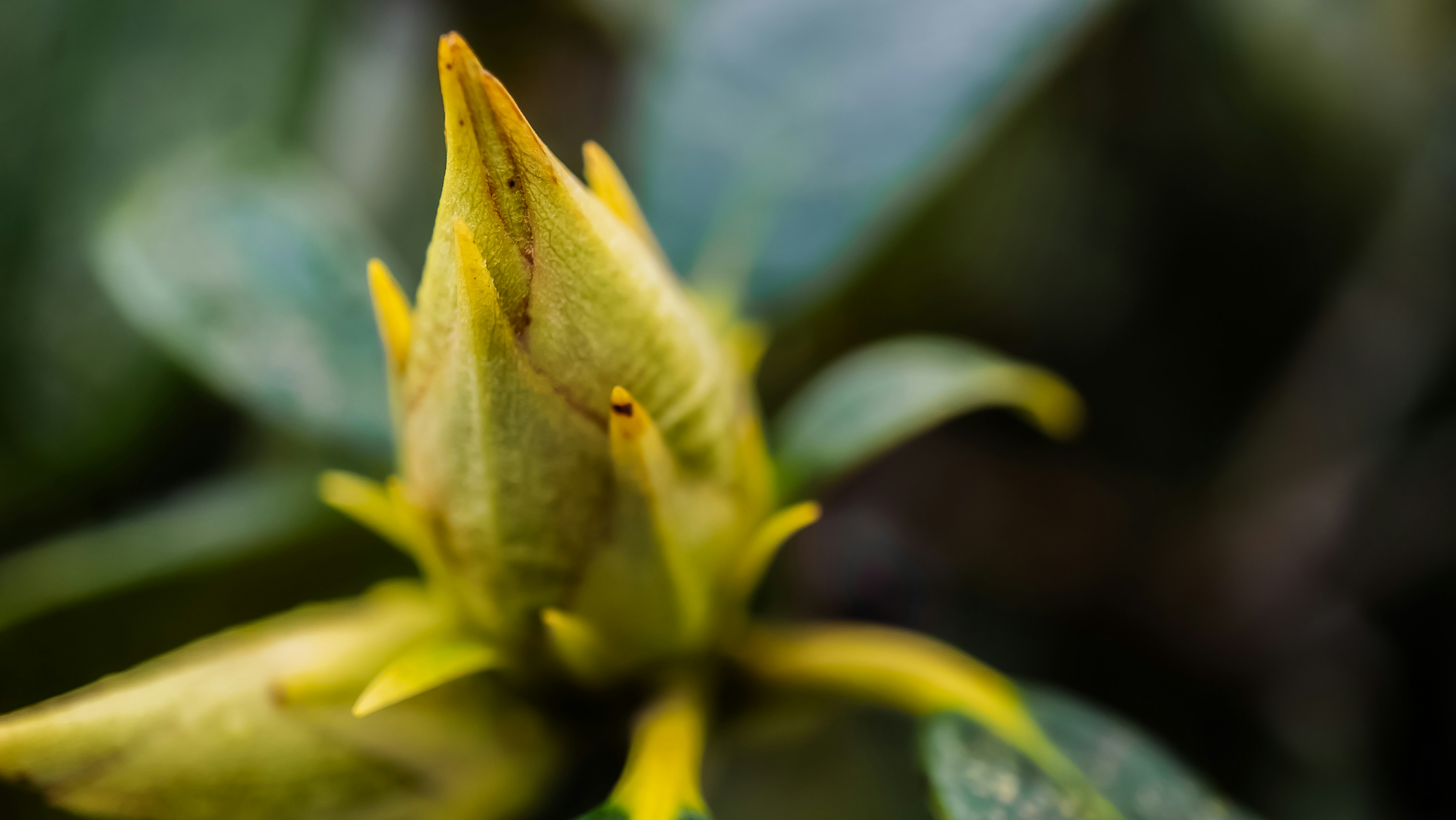 Photo by ghostdogg187