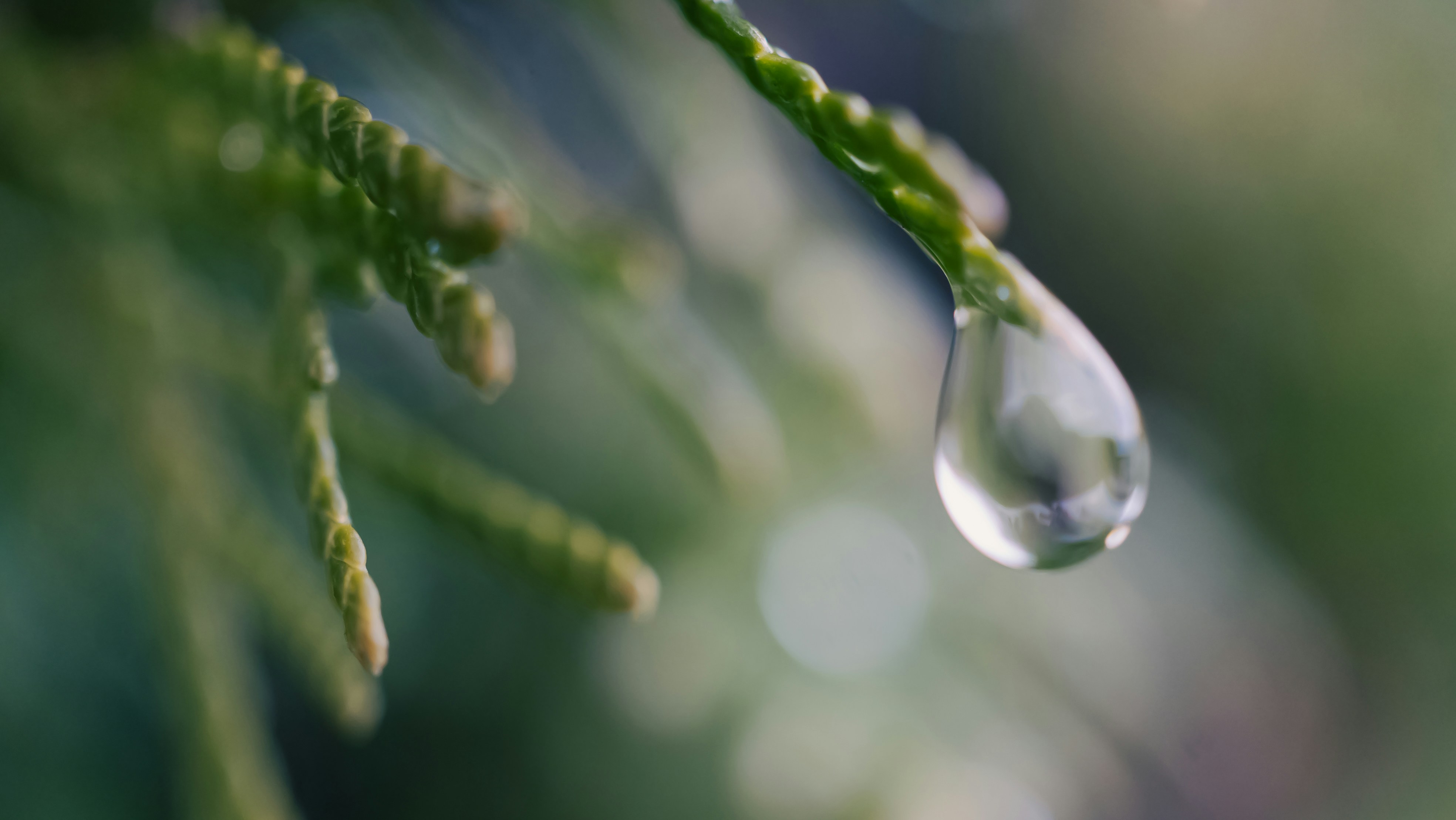 Photo by ghostdogg187