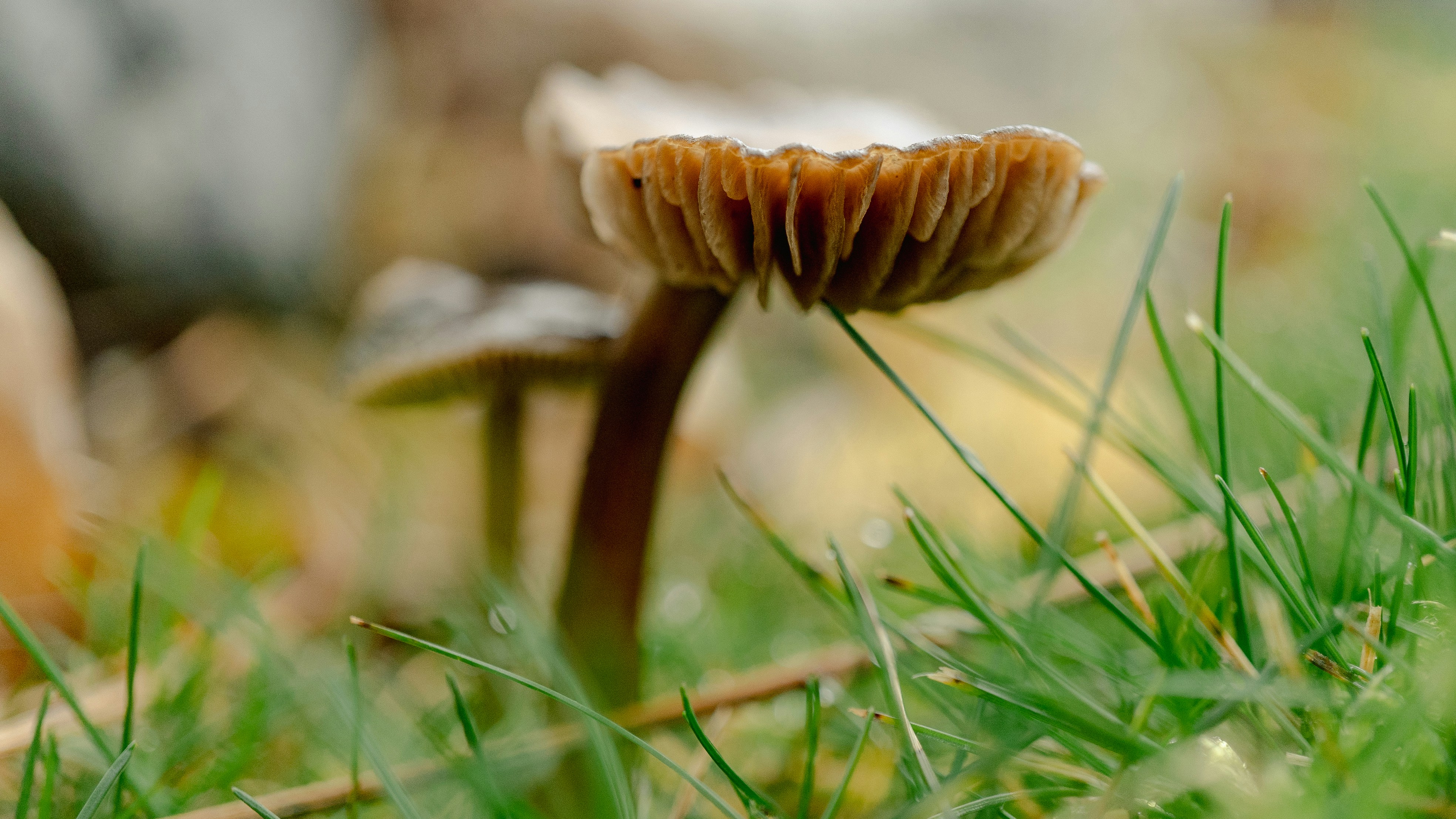 Photo by ghostdogg187