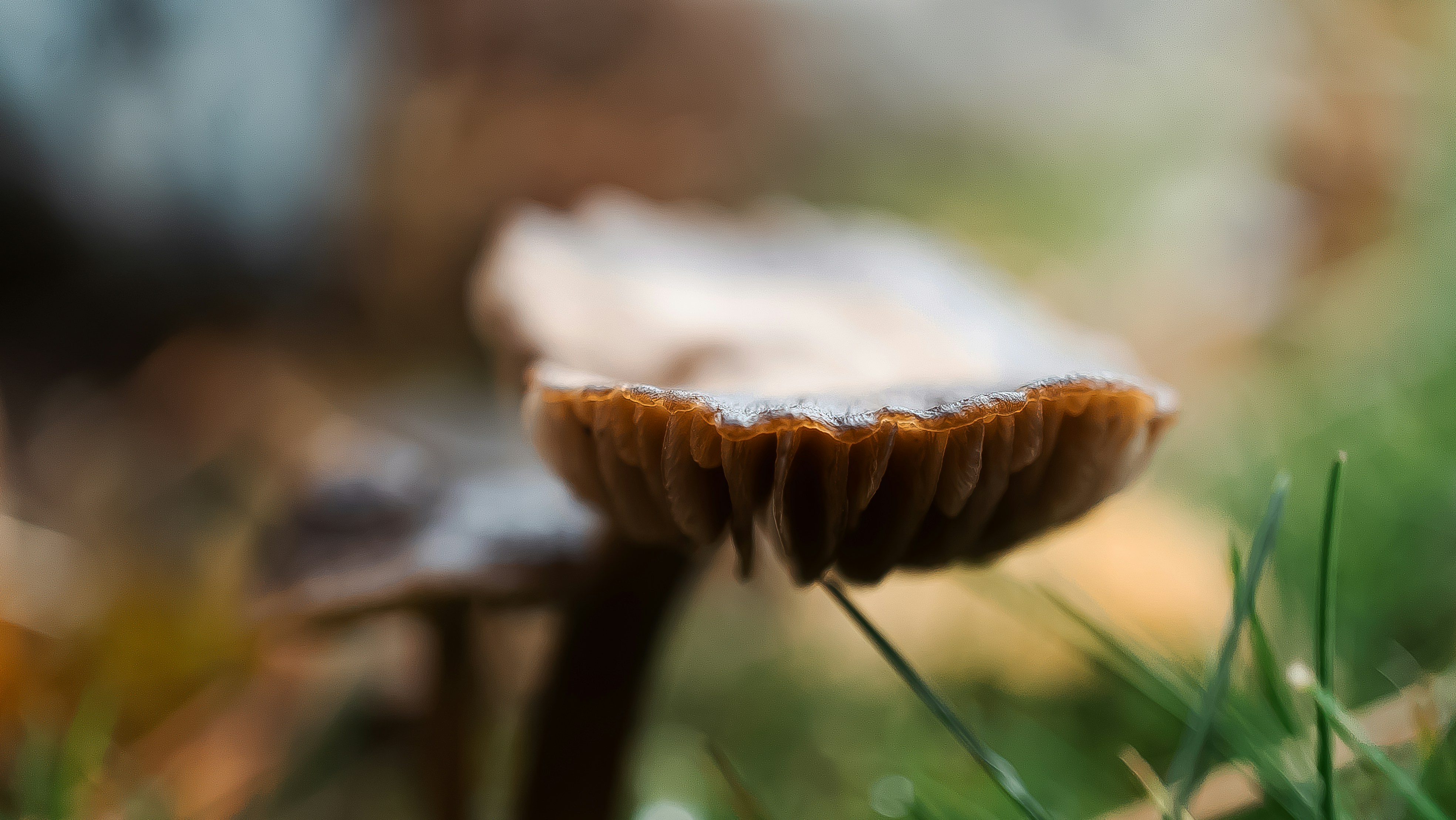 Photo by ghostdogg187