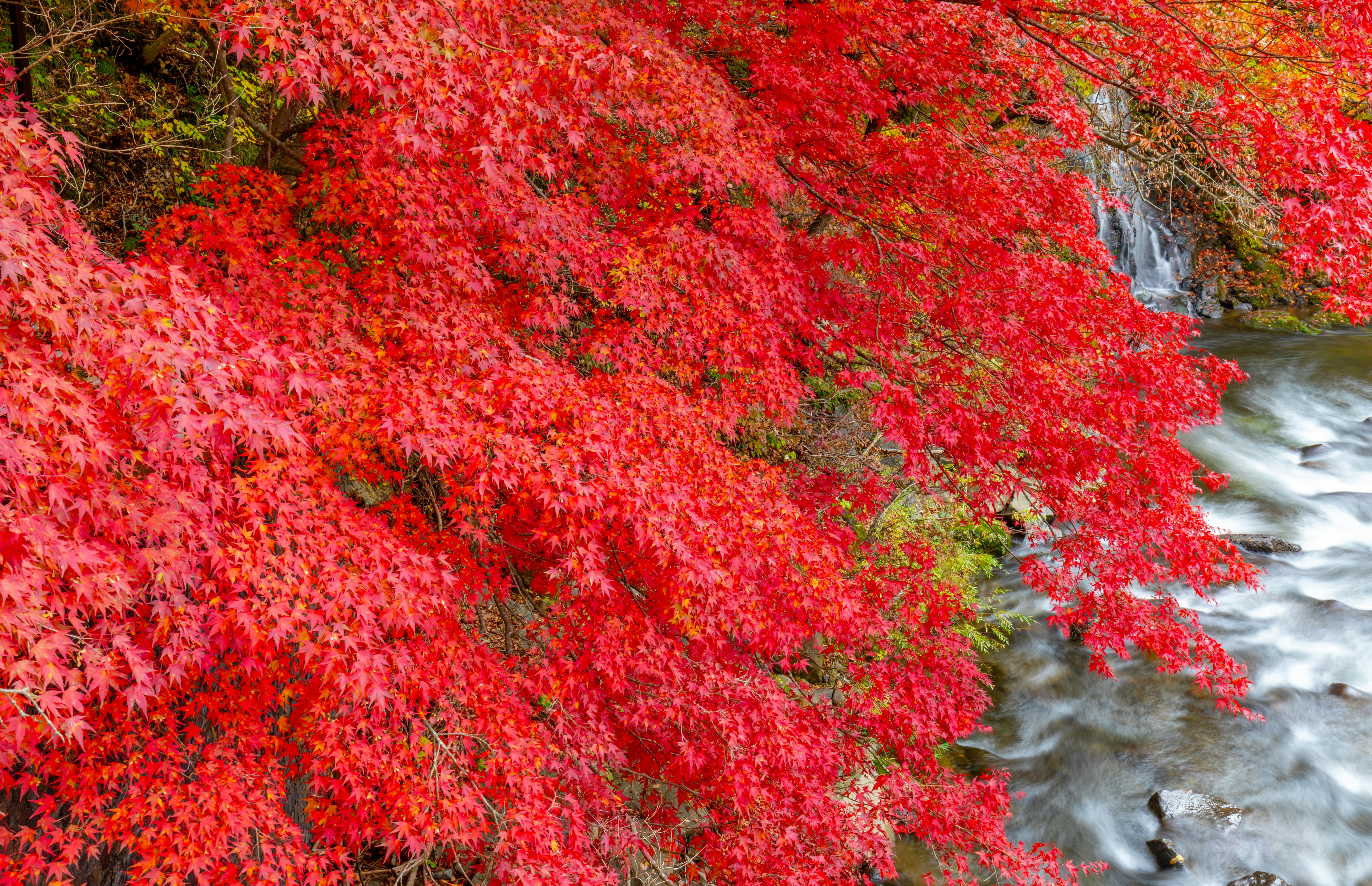 Photo by juntarou555