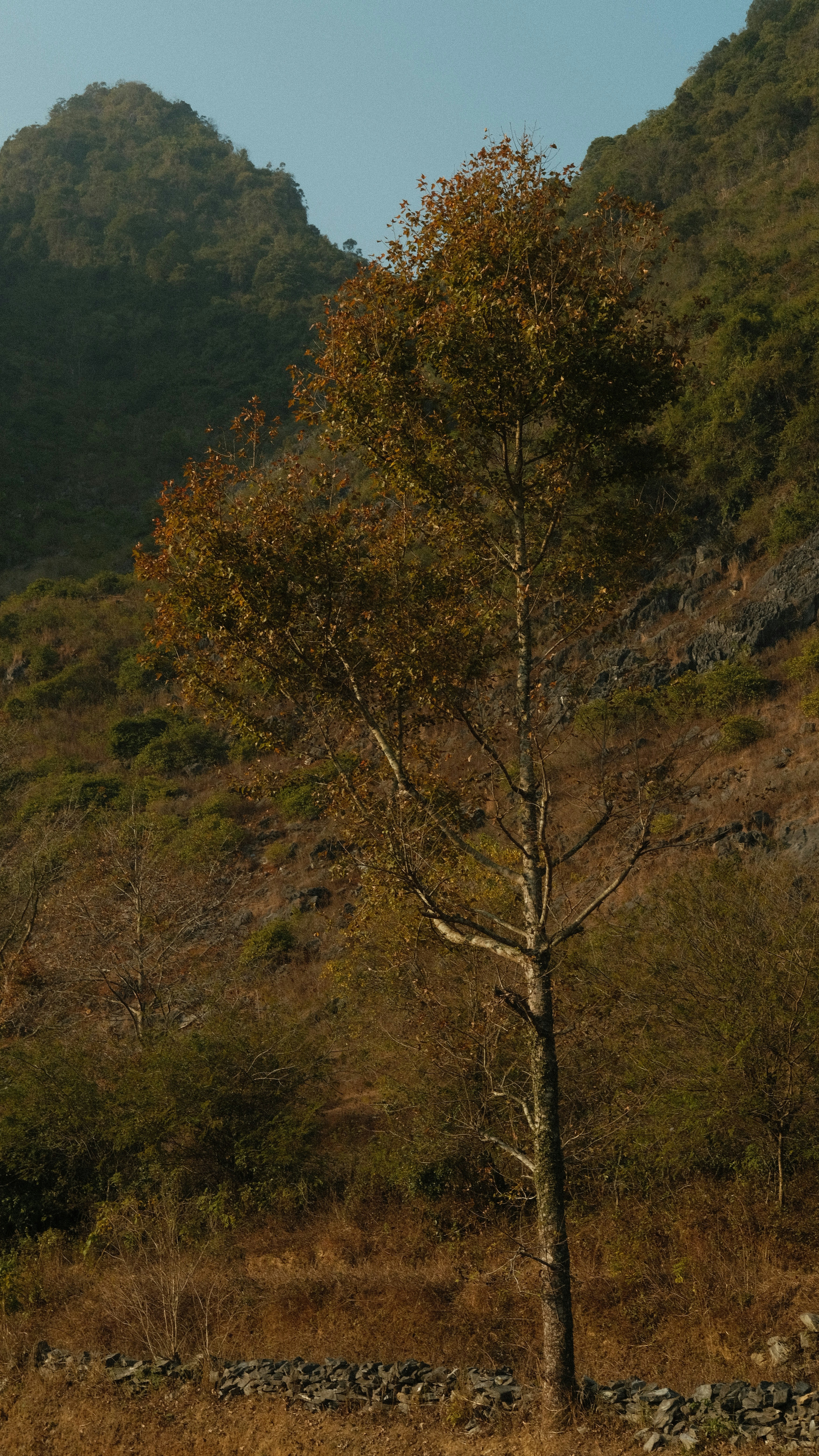 Photo by flying_oldman11