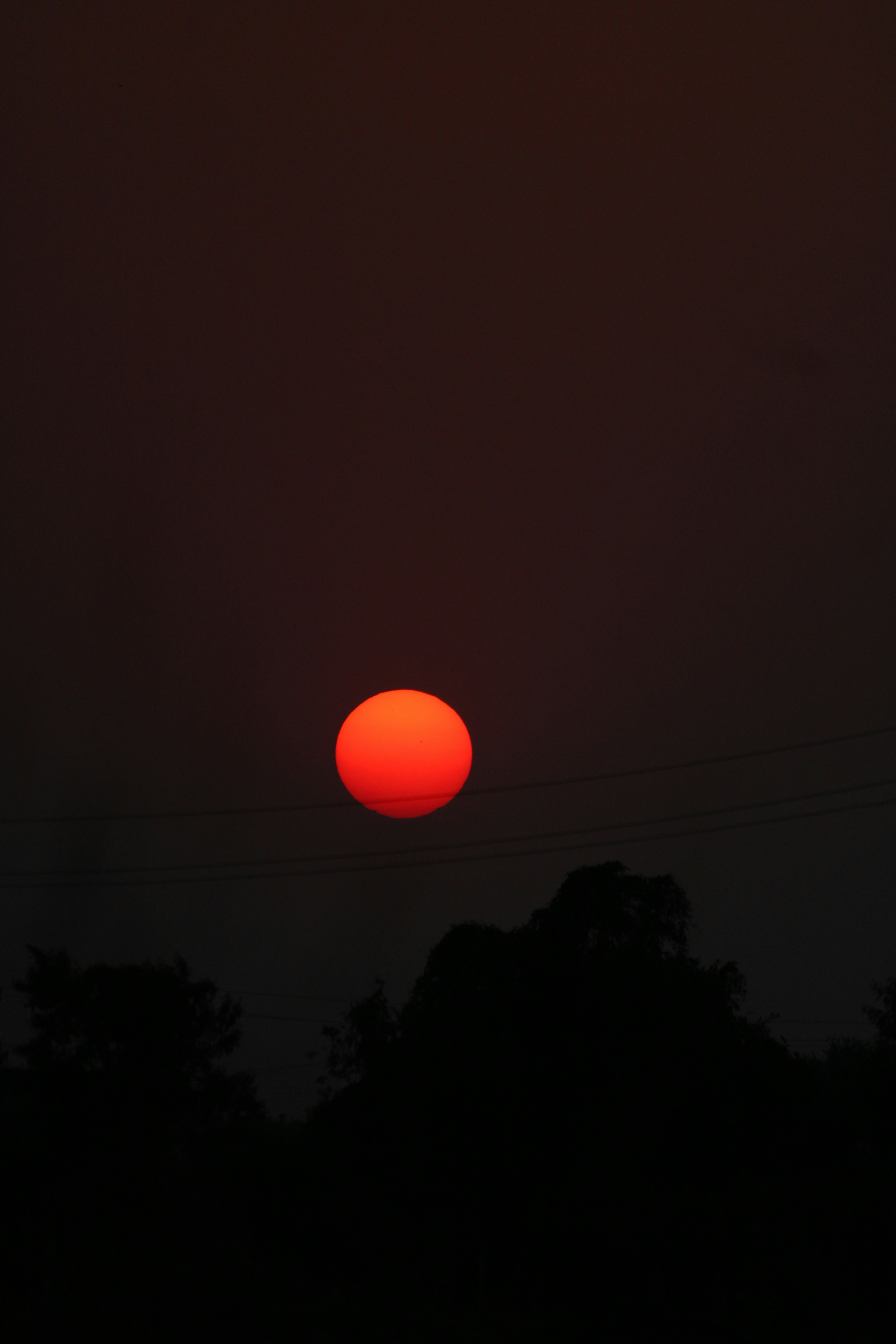 Photo by arjun_01