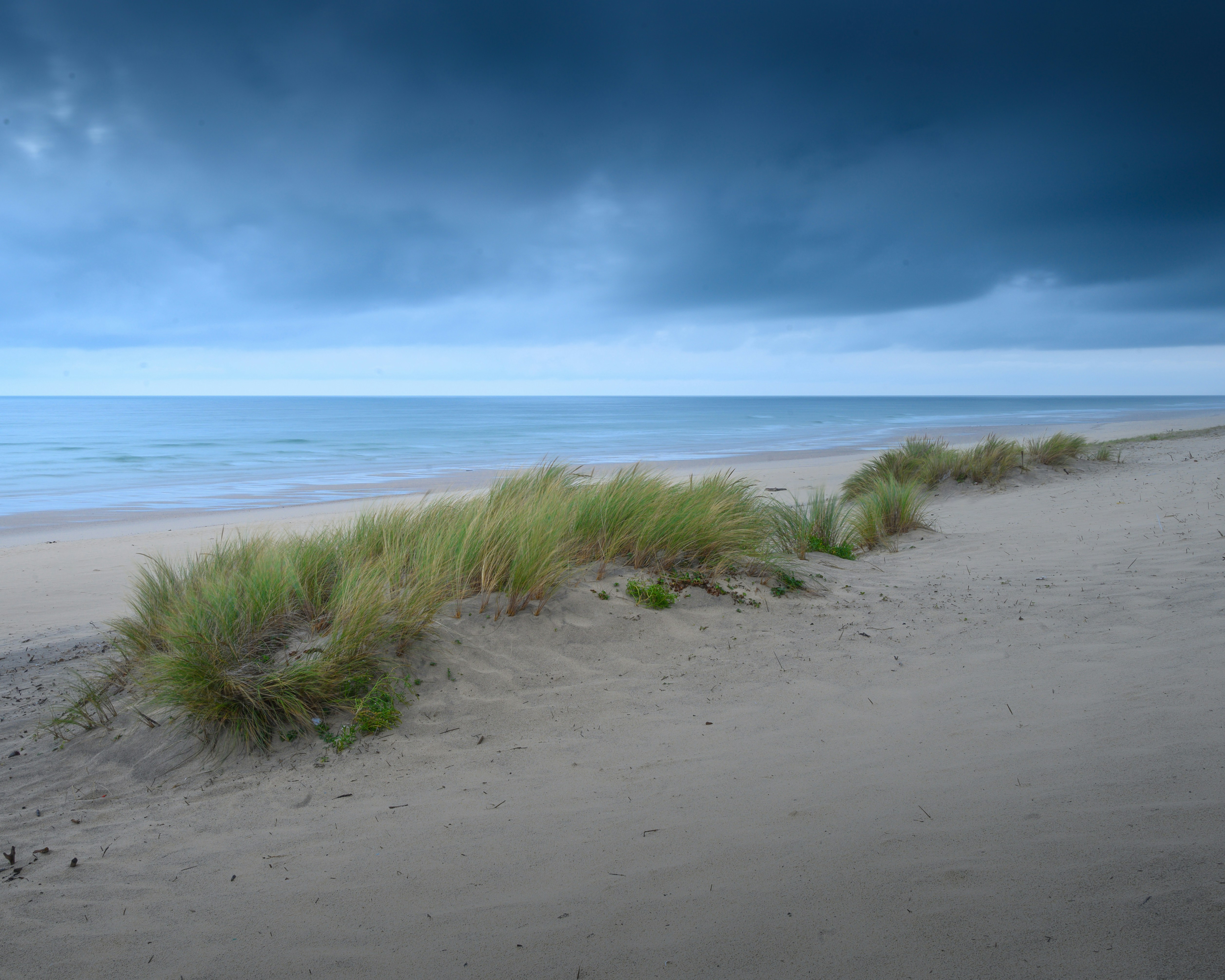 A sandy beach with grass growing out of the sand photo – Free Nature ...