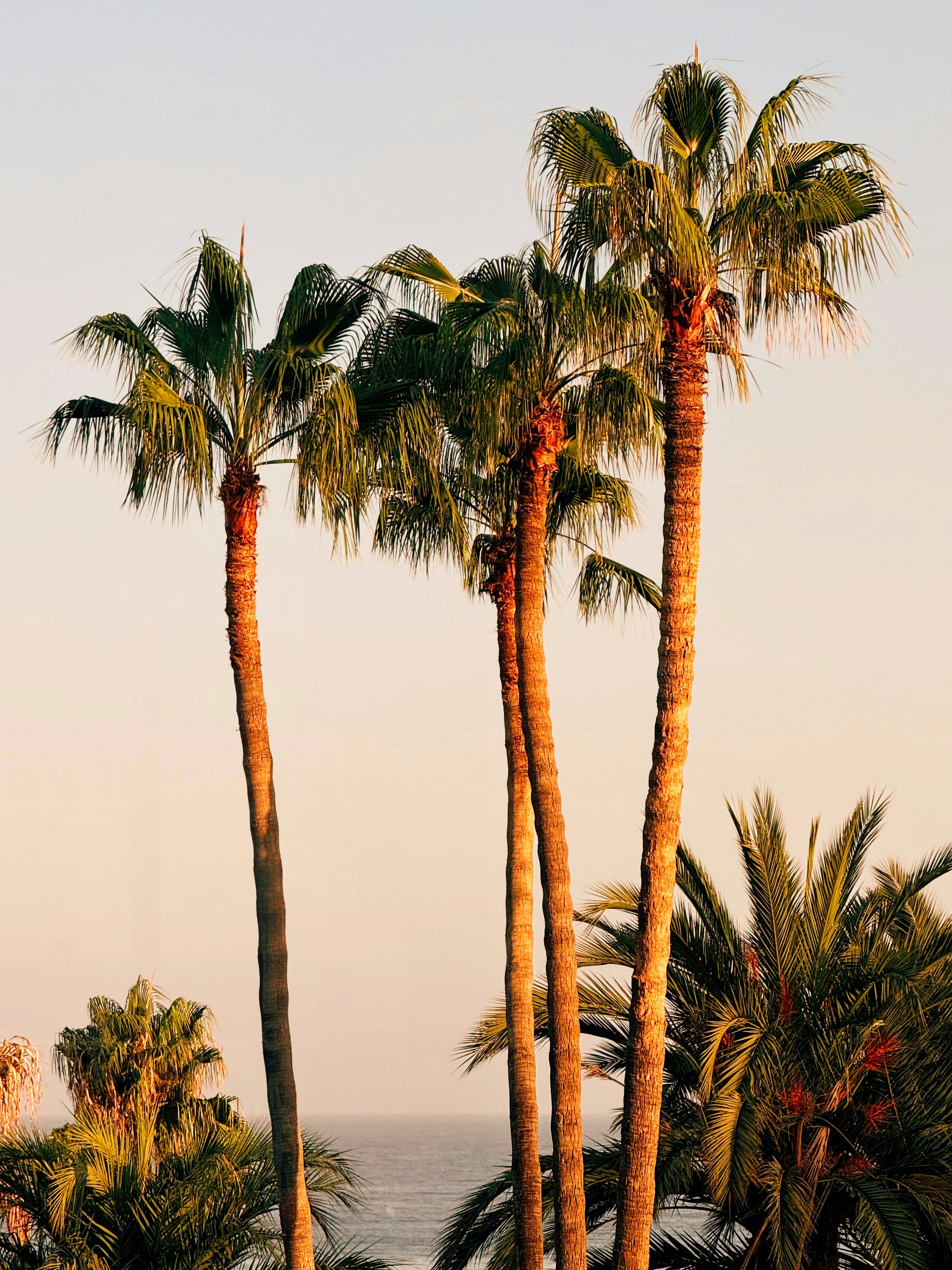 Photo by visualsbying