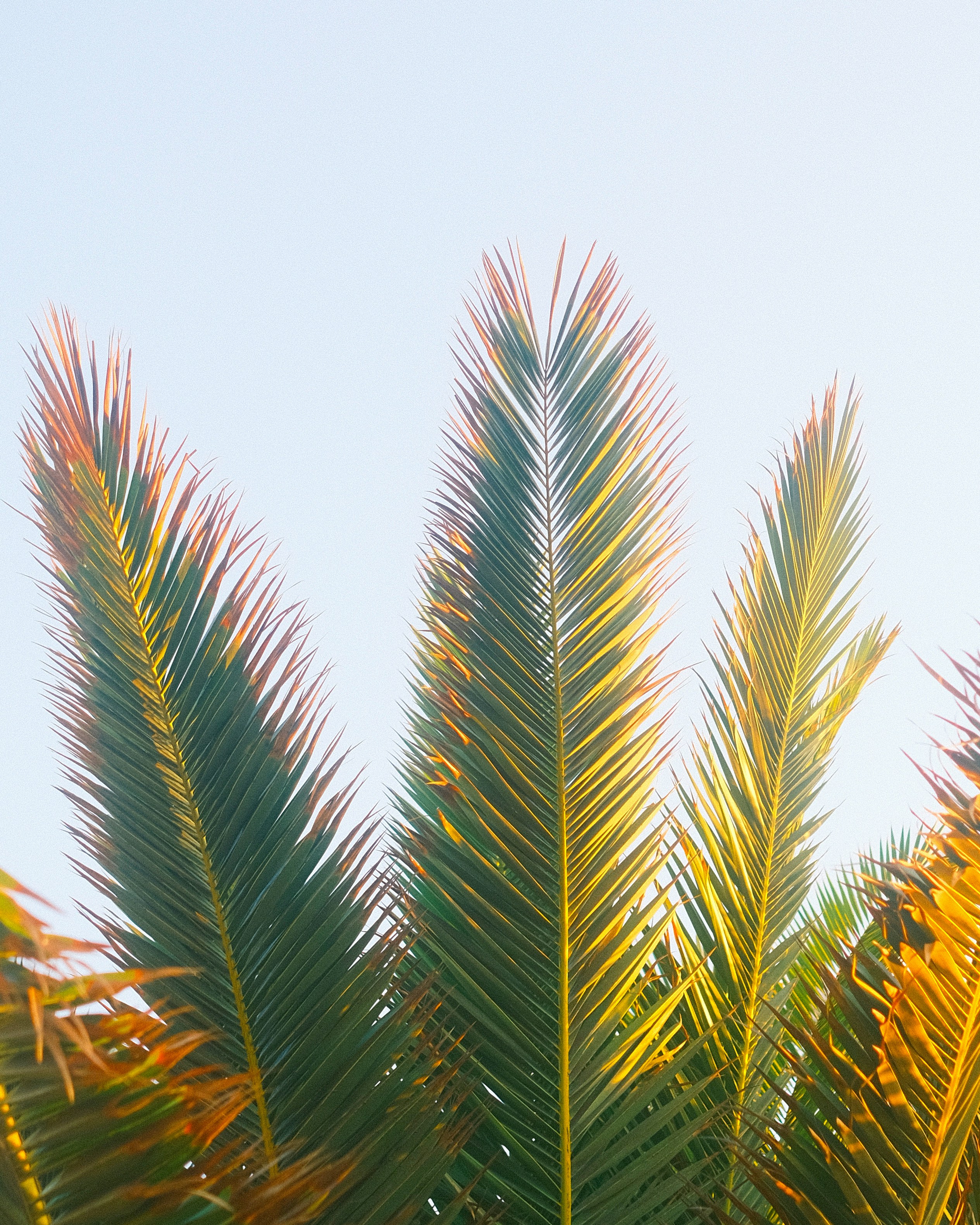 Photo by visualsbying