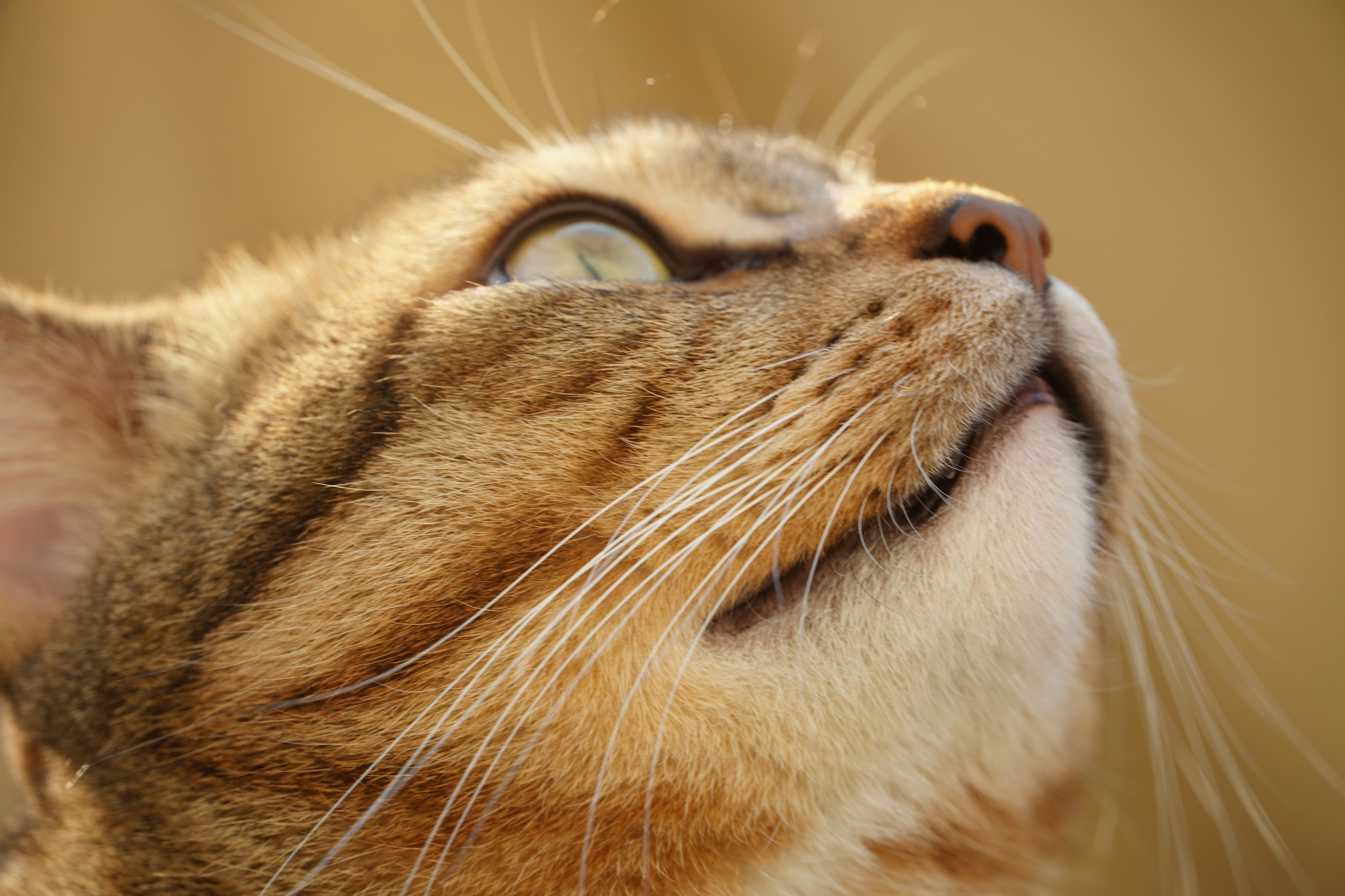 Photo by bubblyslayer