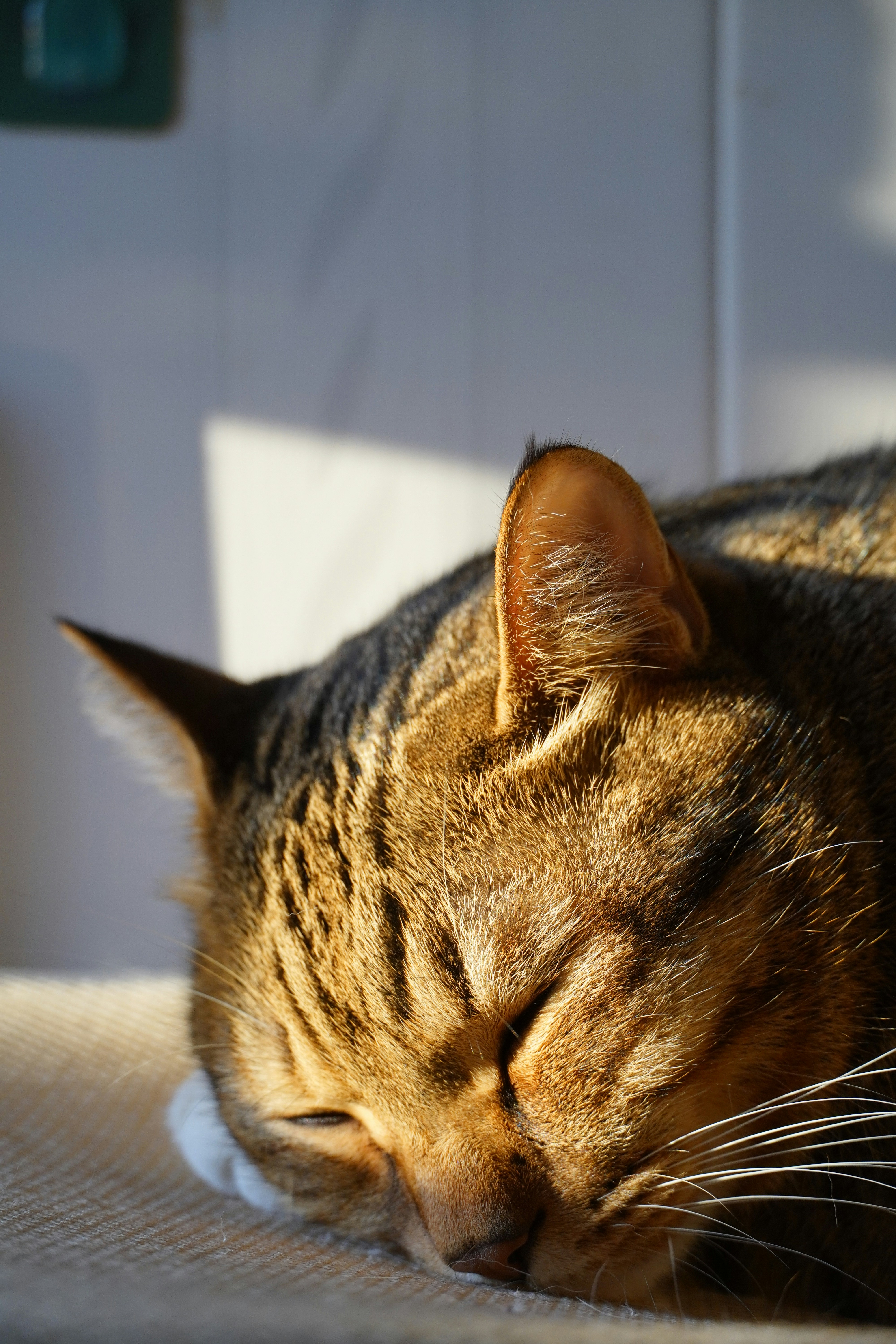 Photo by bubblyslayer