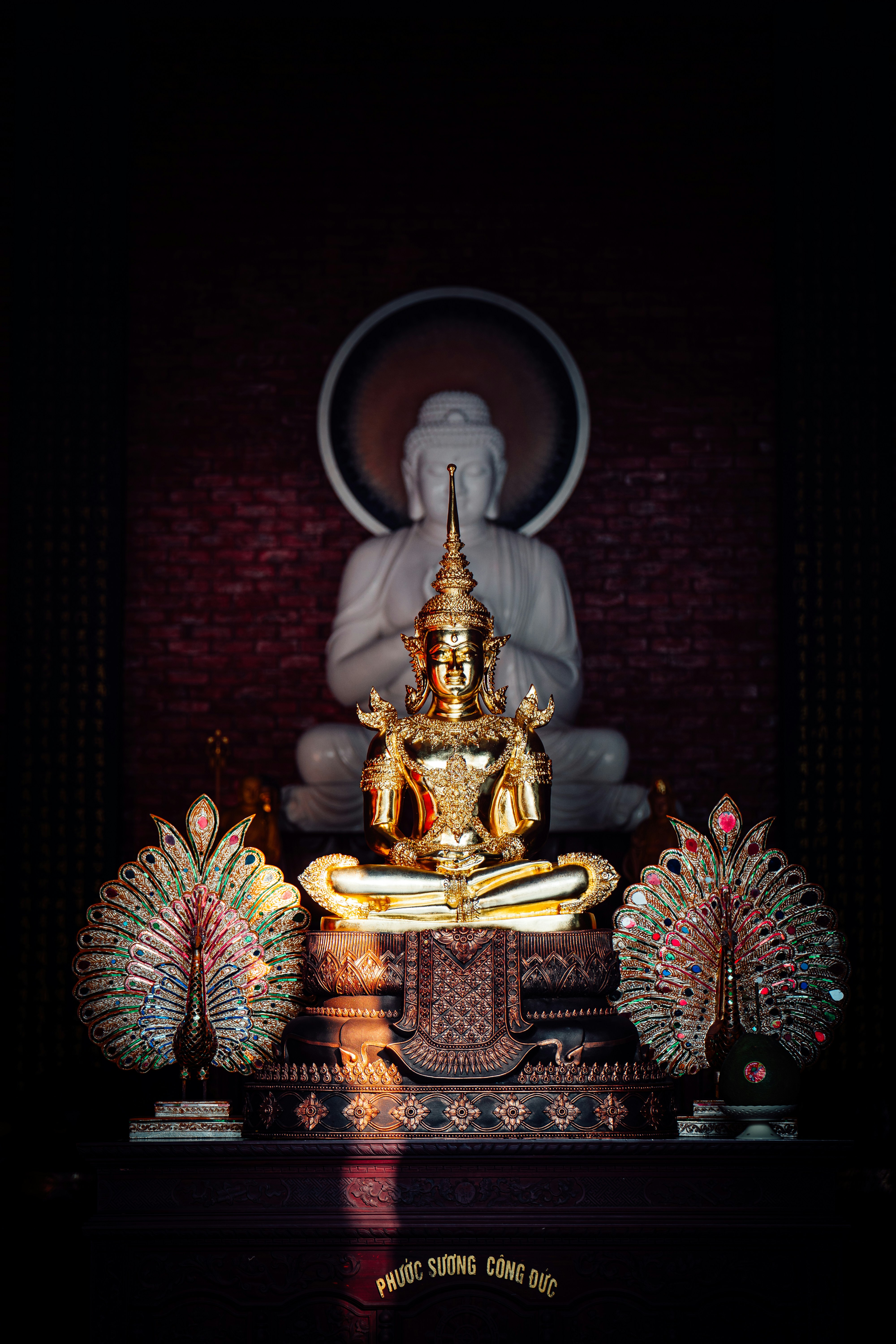 Photo by benjamin_photo_lab