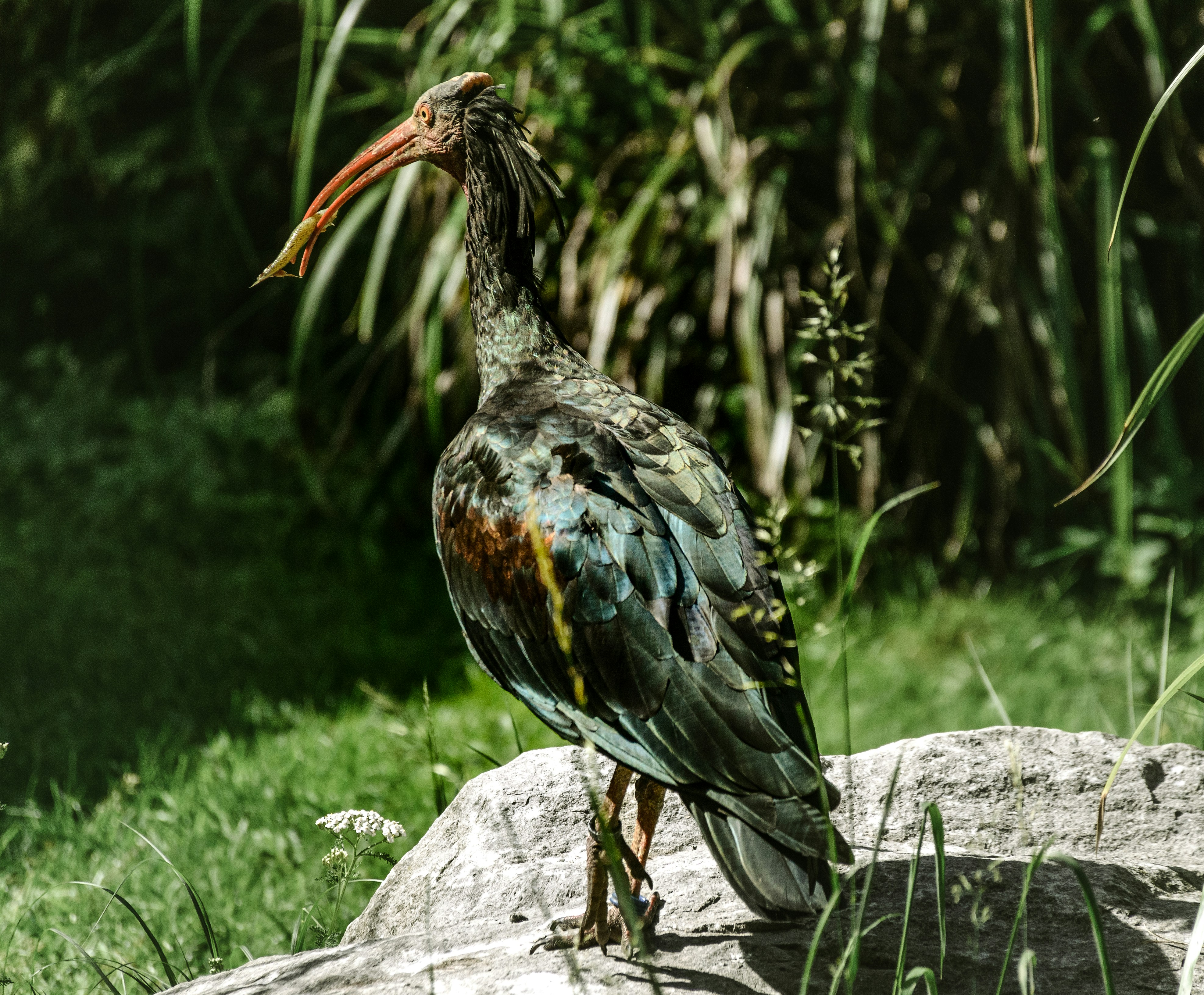 Photo by ironimus2014_44