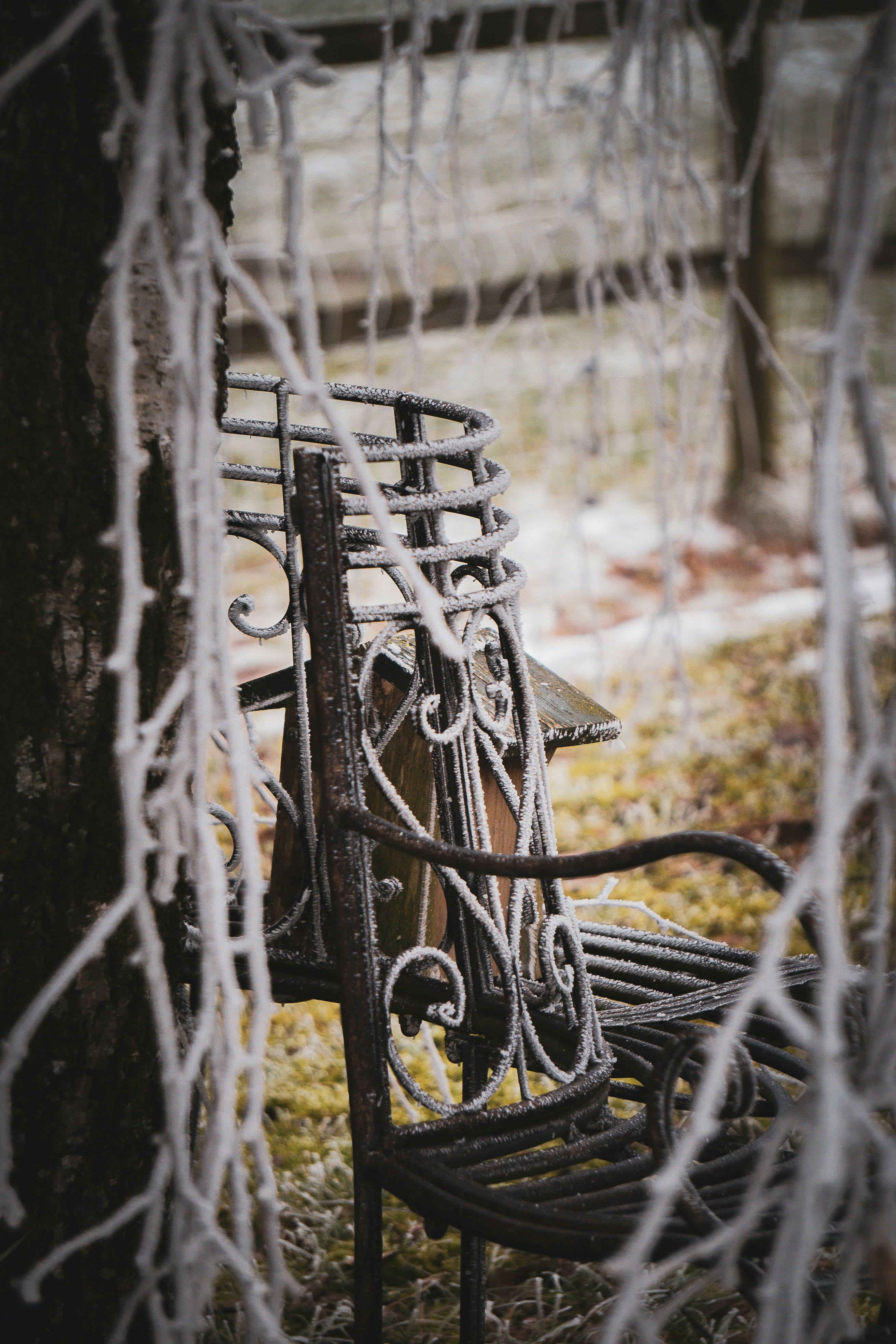 A bench sitting next to a tree in a park