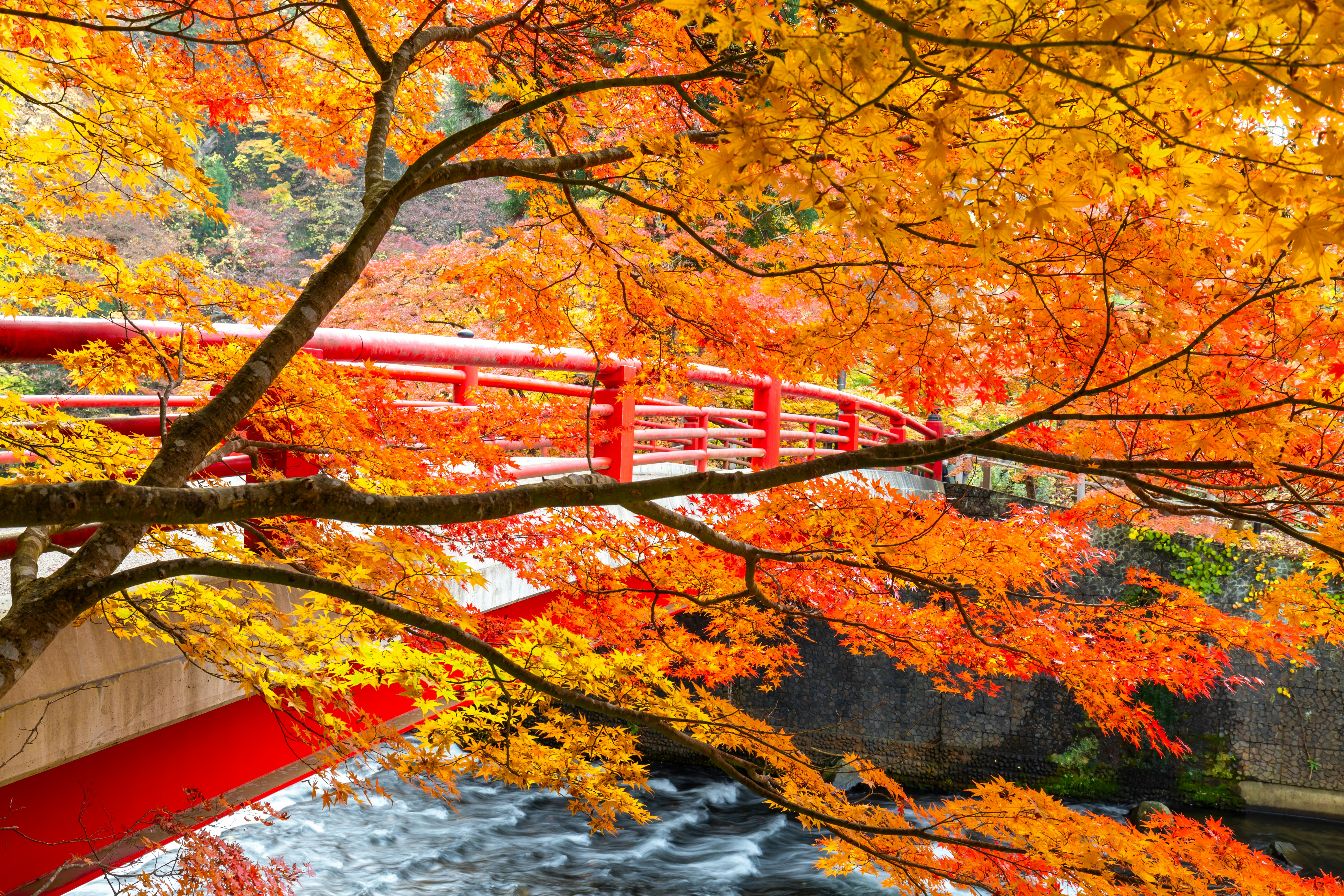 Photo by juntarou555