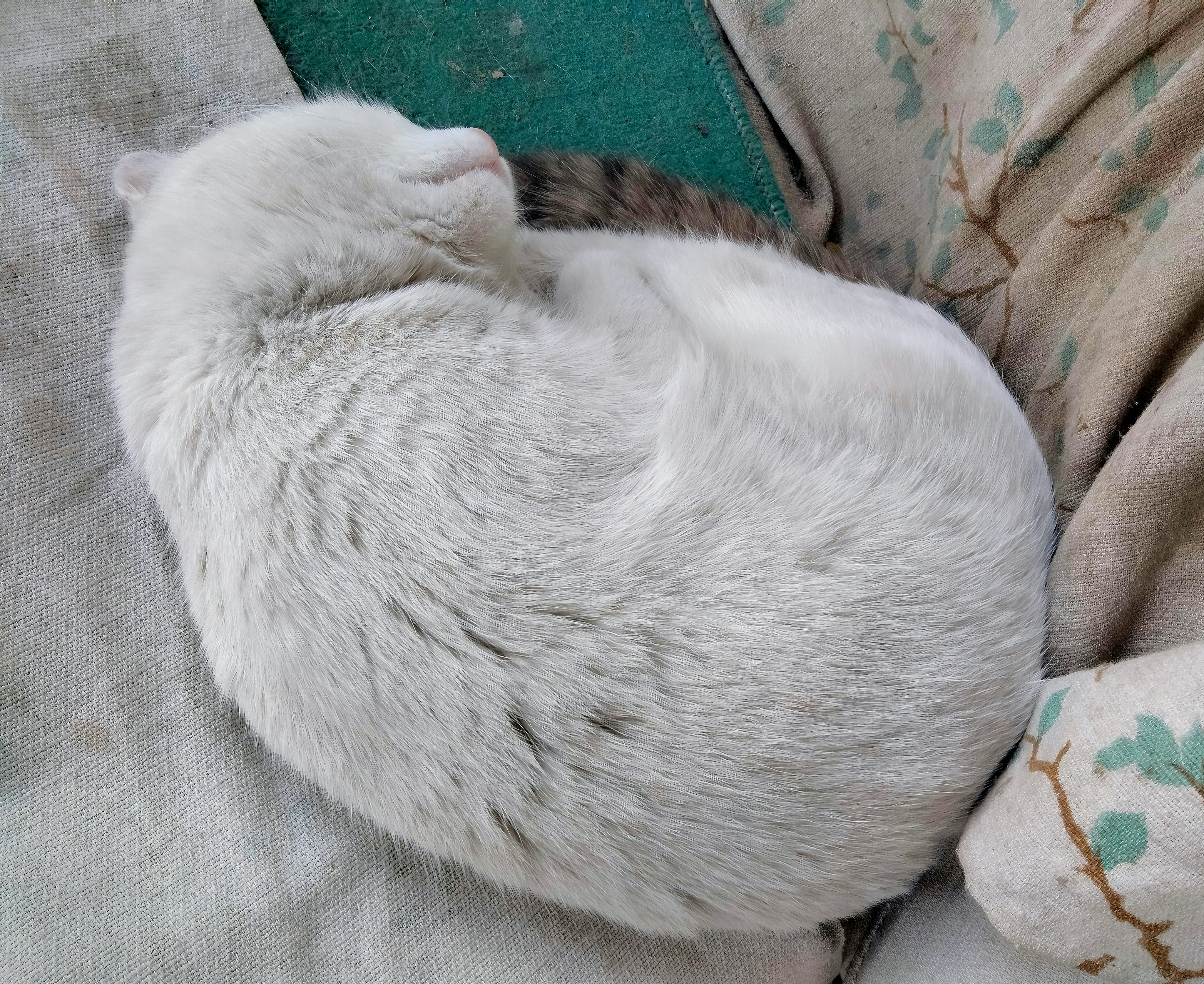 Shared Spaces: Where Love and Comfort Linger (image credits: unsplash)