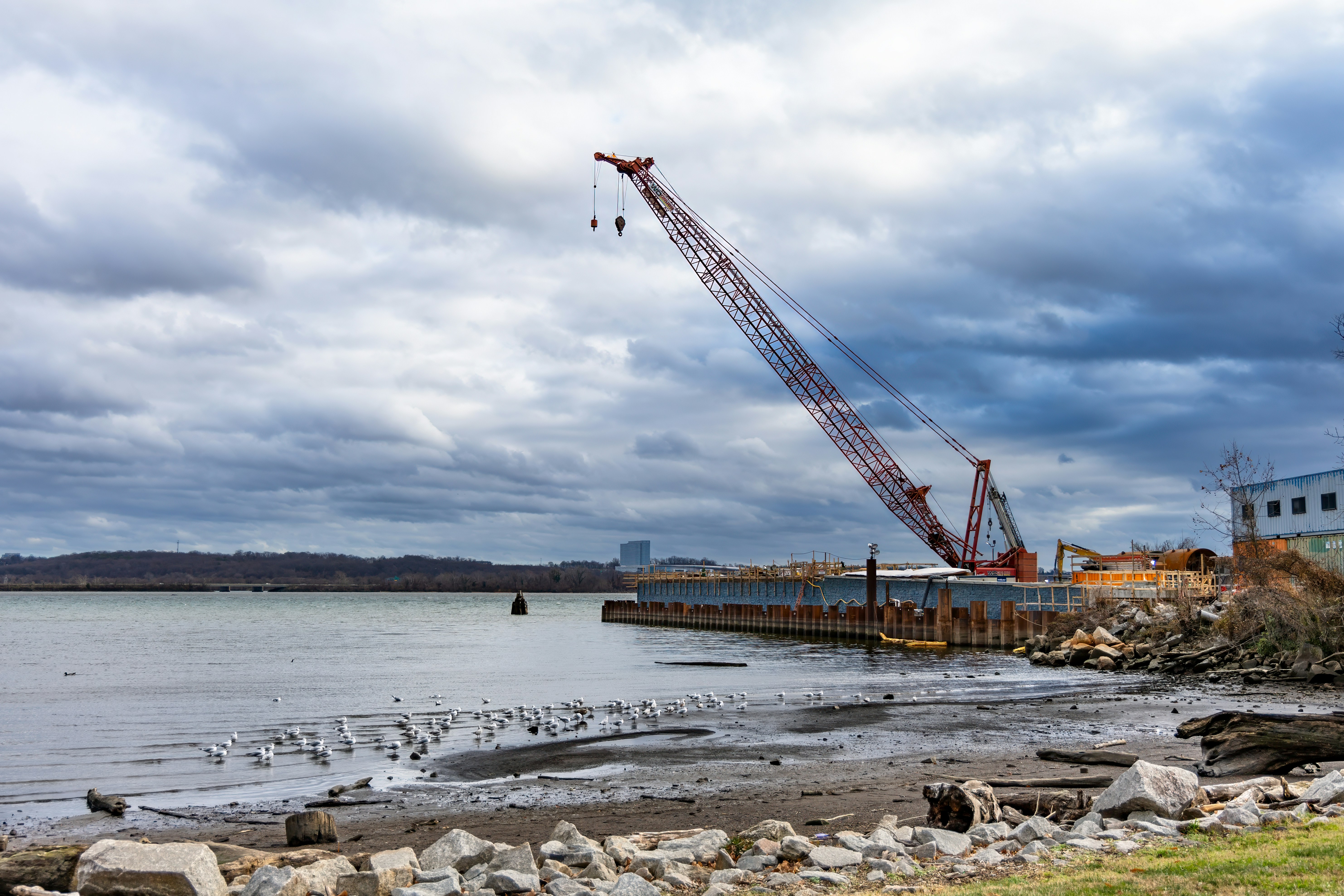 Photo by jasongooljar24