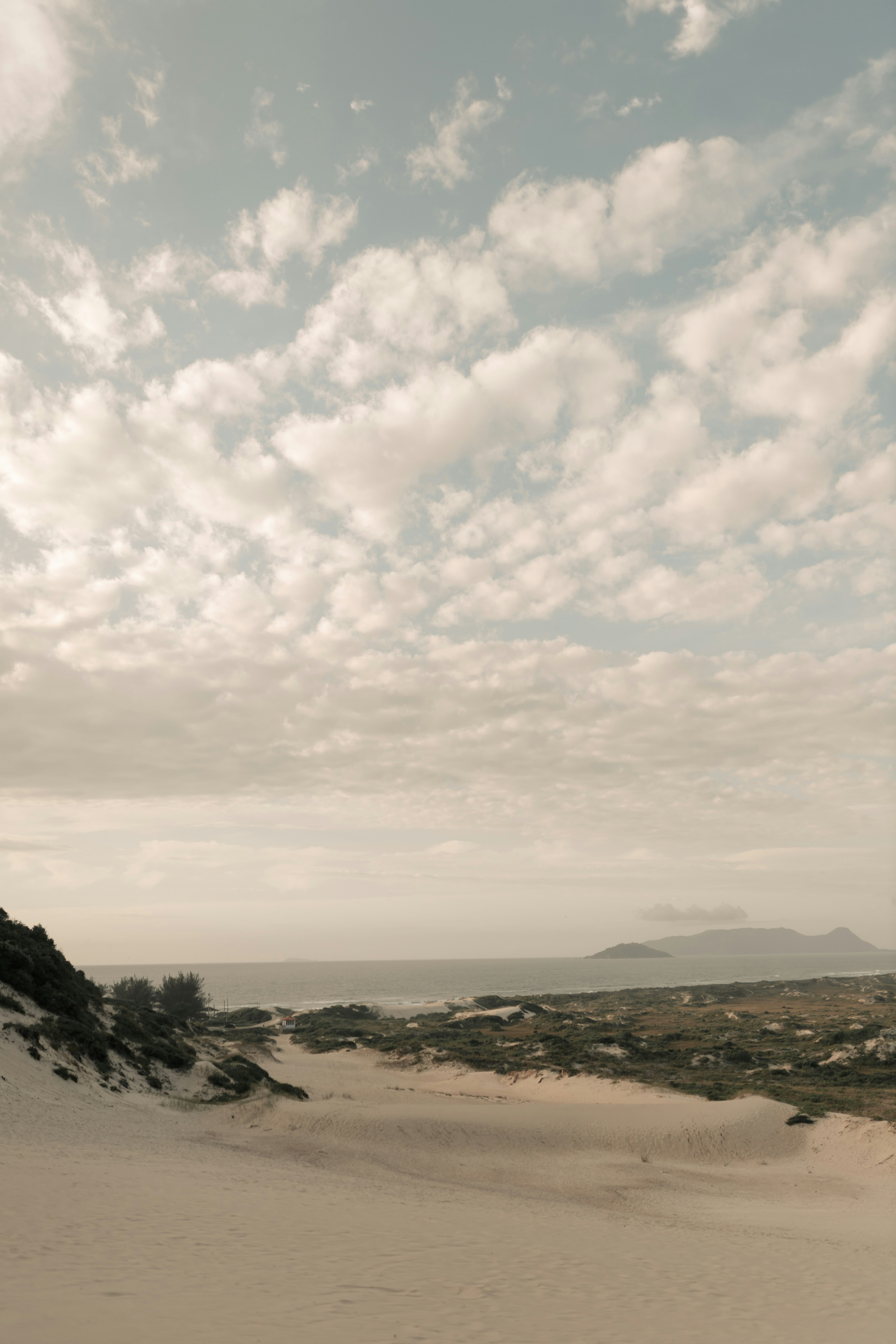 Photo by alexandermassph