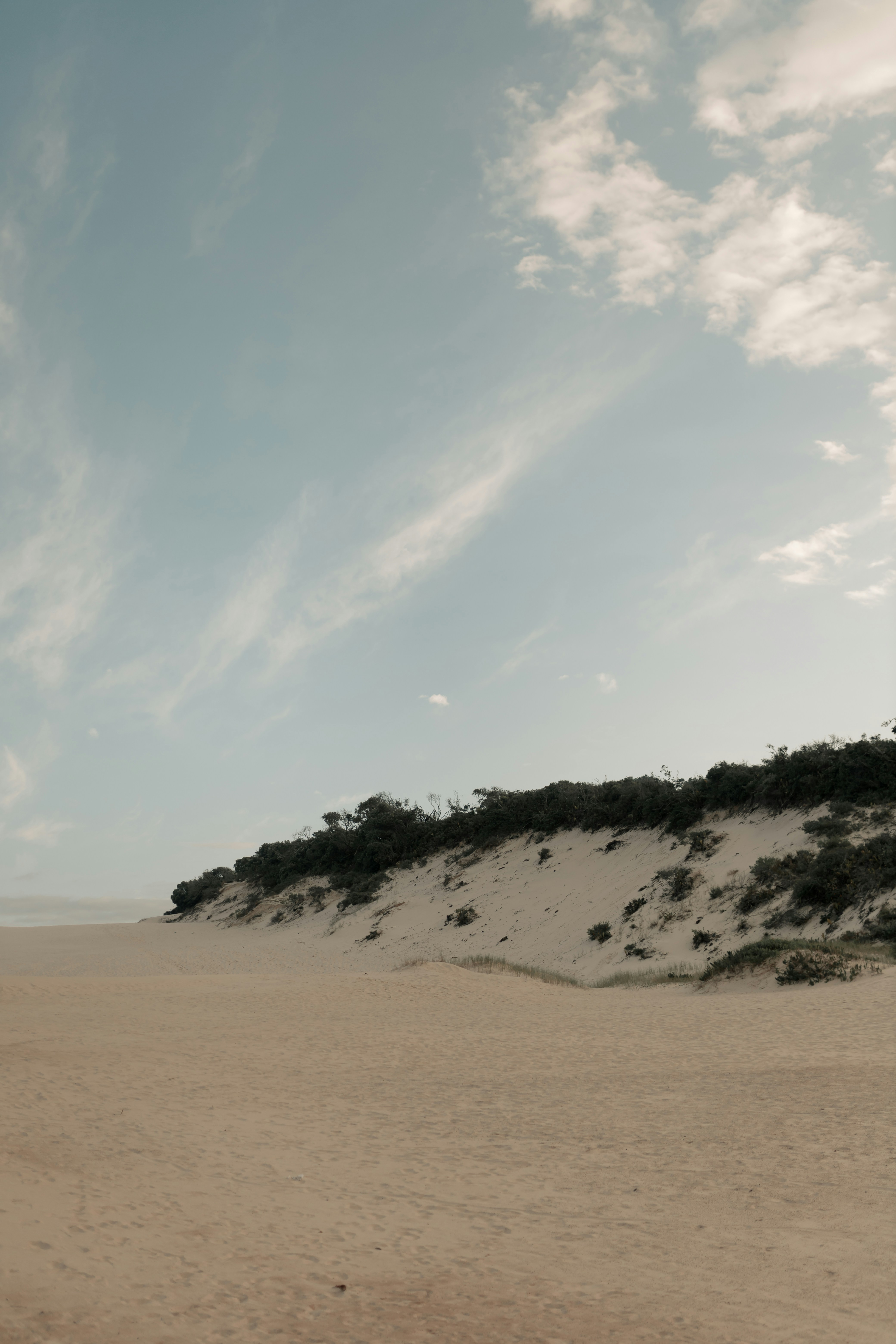 Photo by alexandermassph