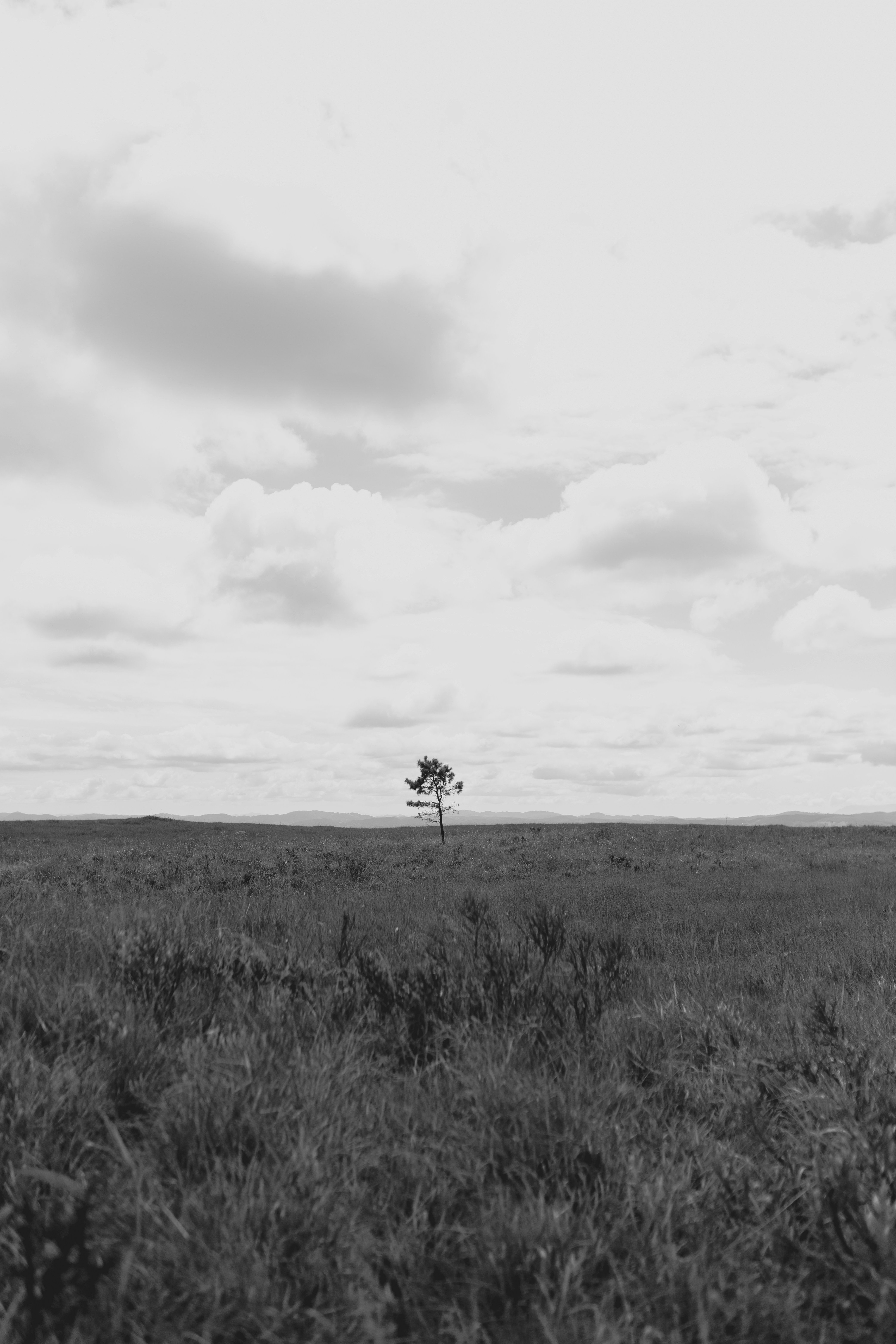 Photo by alexandermassph