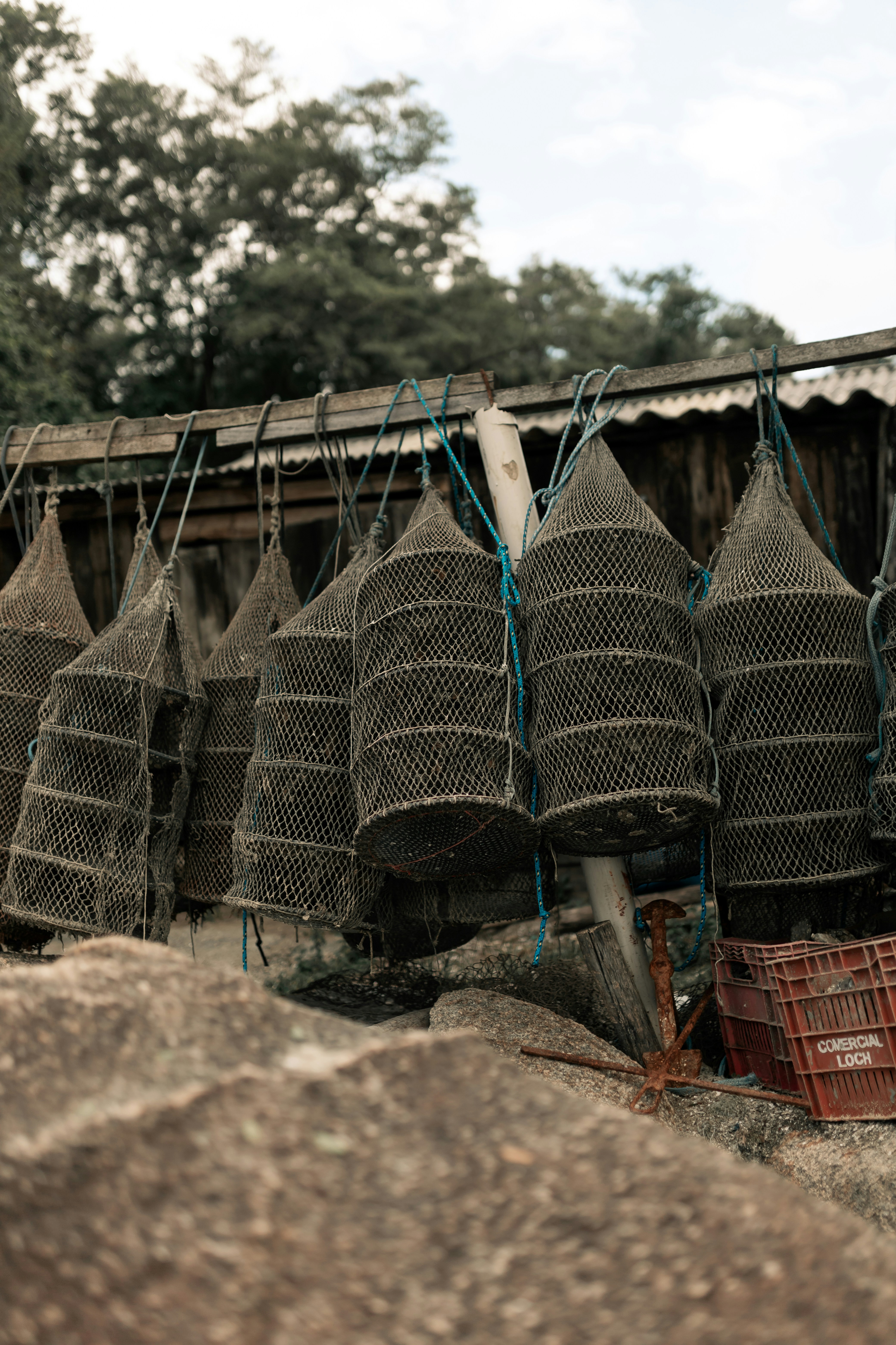 A bunch of cages that are sitting on the ground