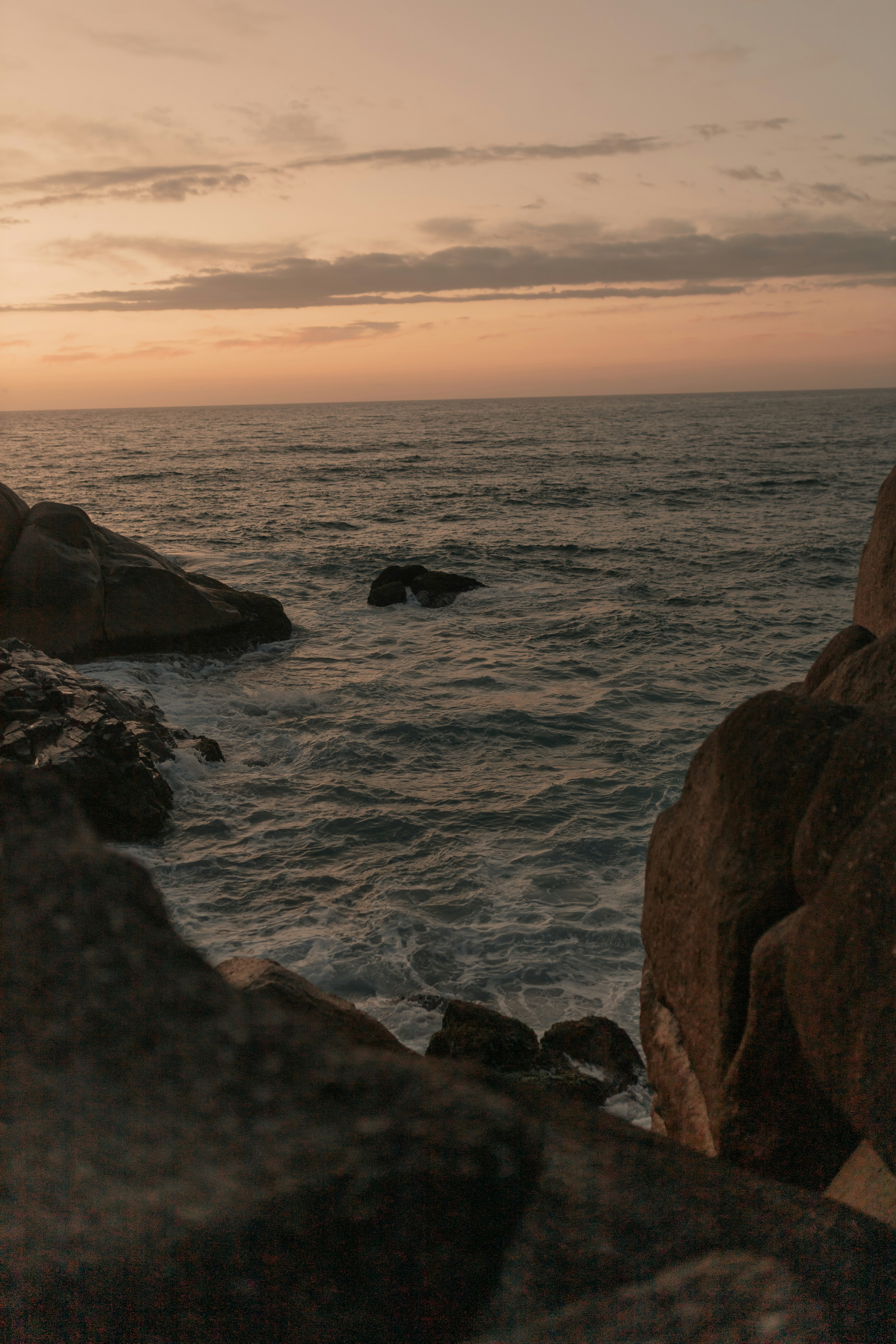 Photo by alexandermassph