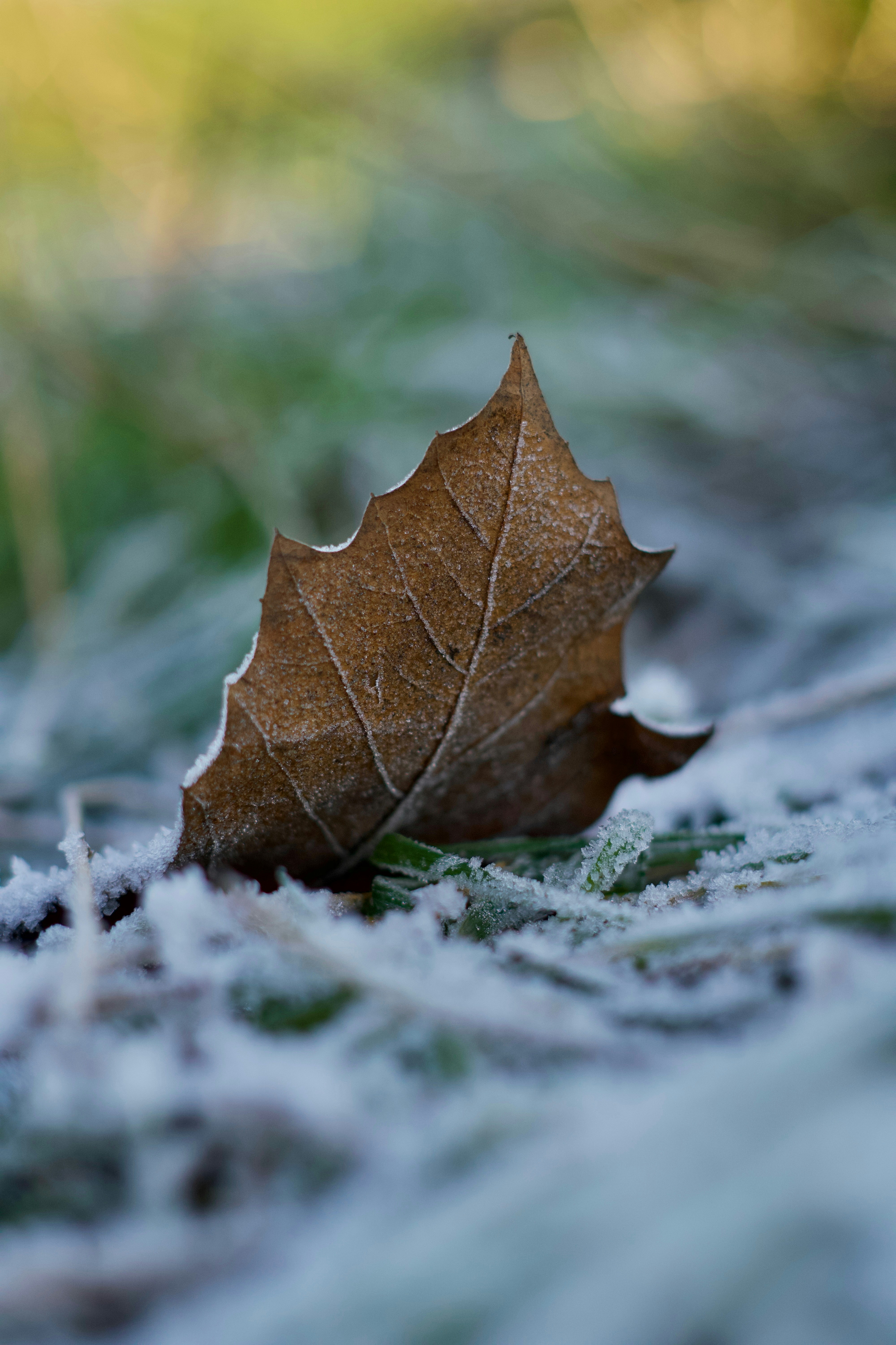 Photo by theodor_jacob