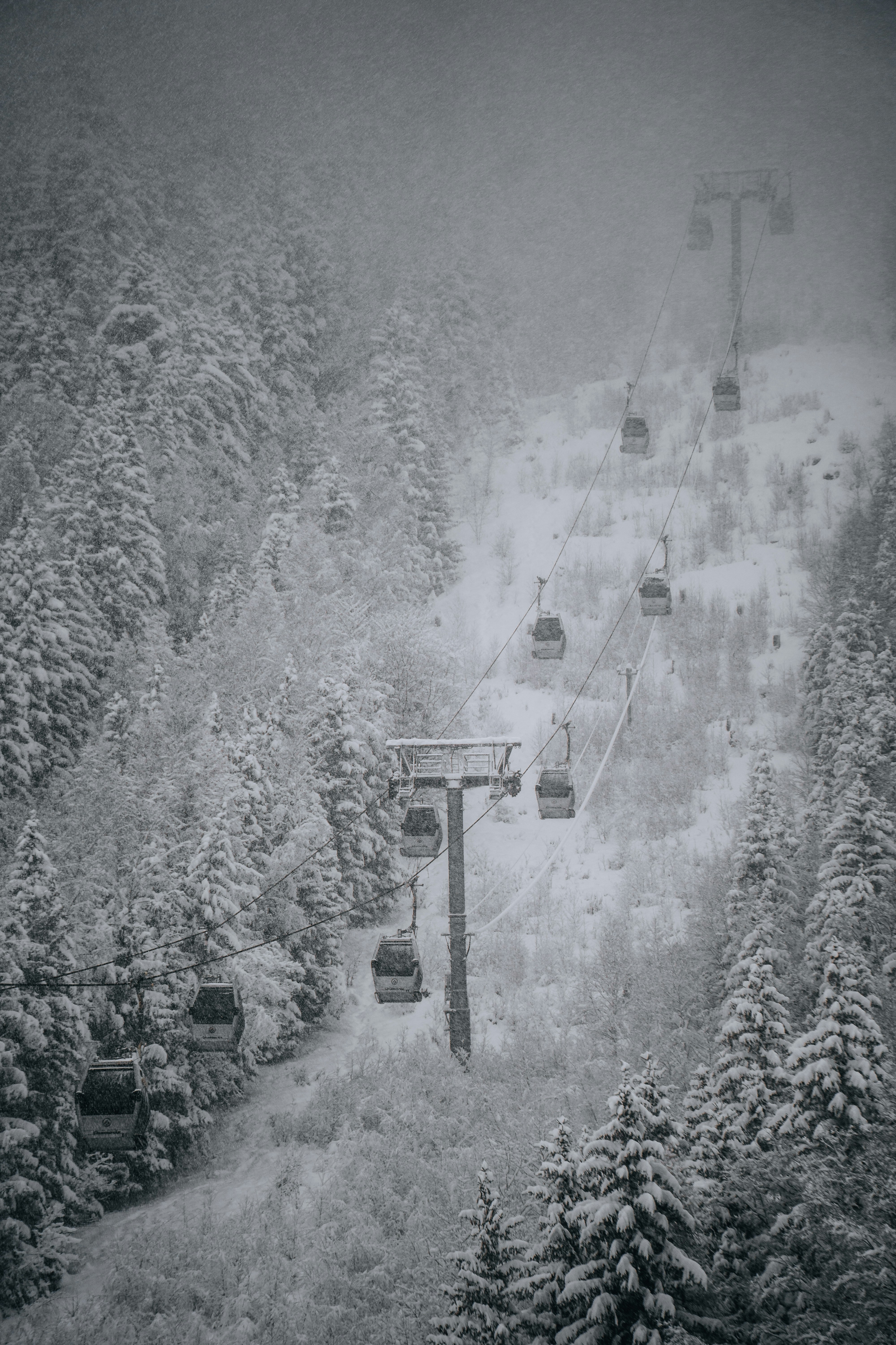 Photo by benjamin_photo_lab