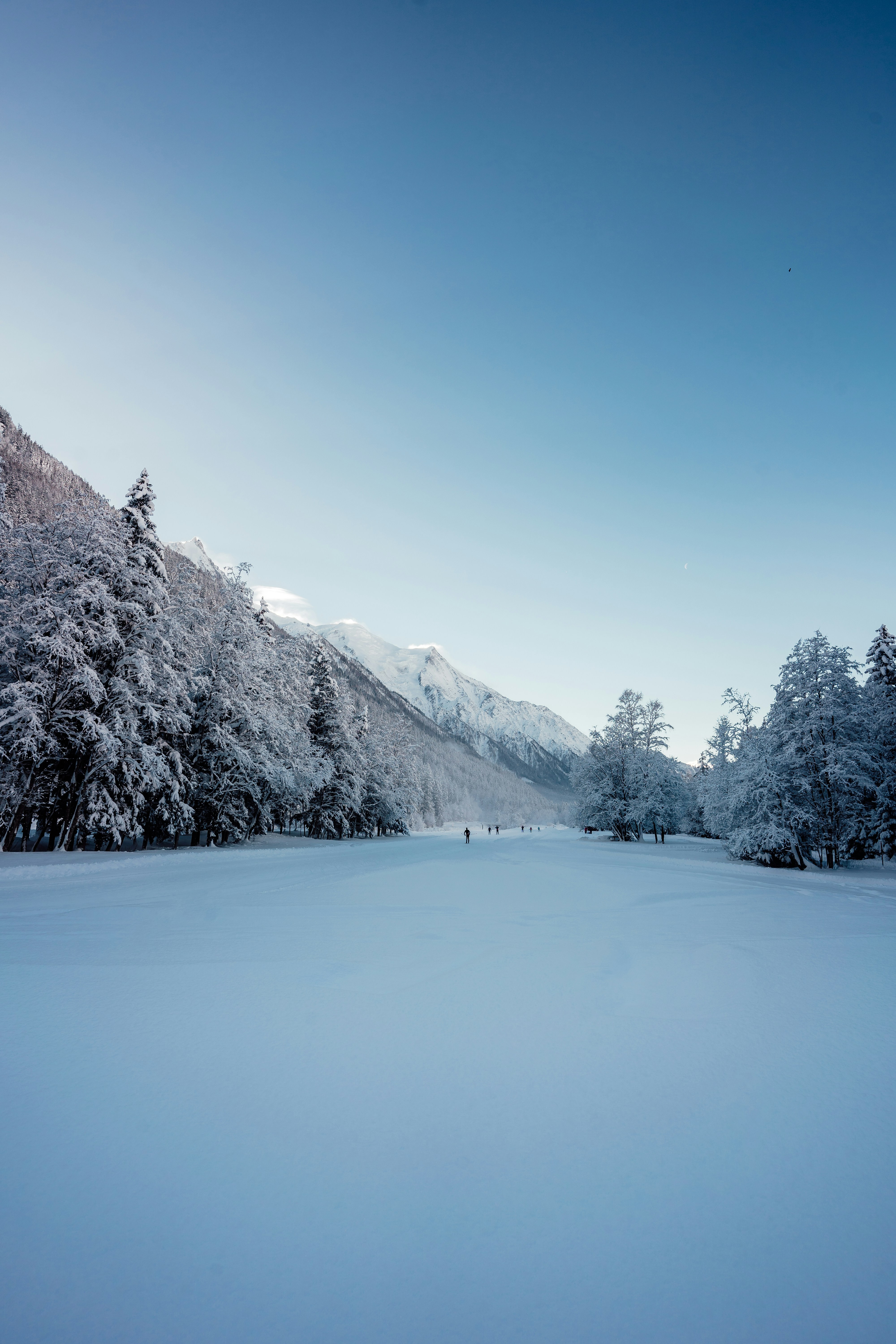 Photo by benjamin_photo_lab